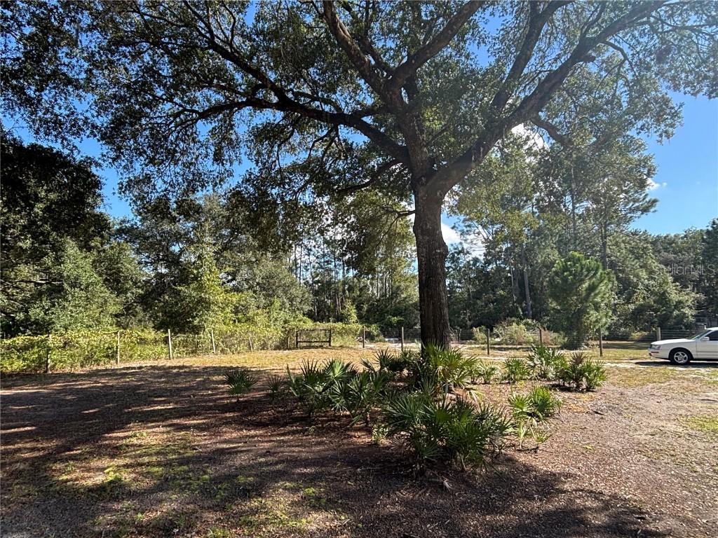 8260 SE 175th Court Ocklawaha FL 32179 OM712012 image83