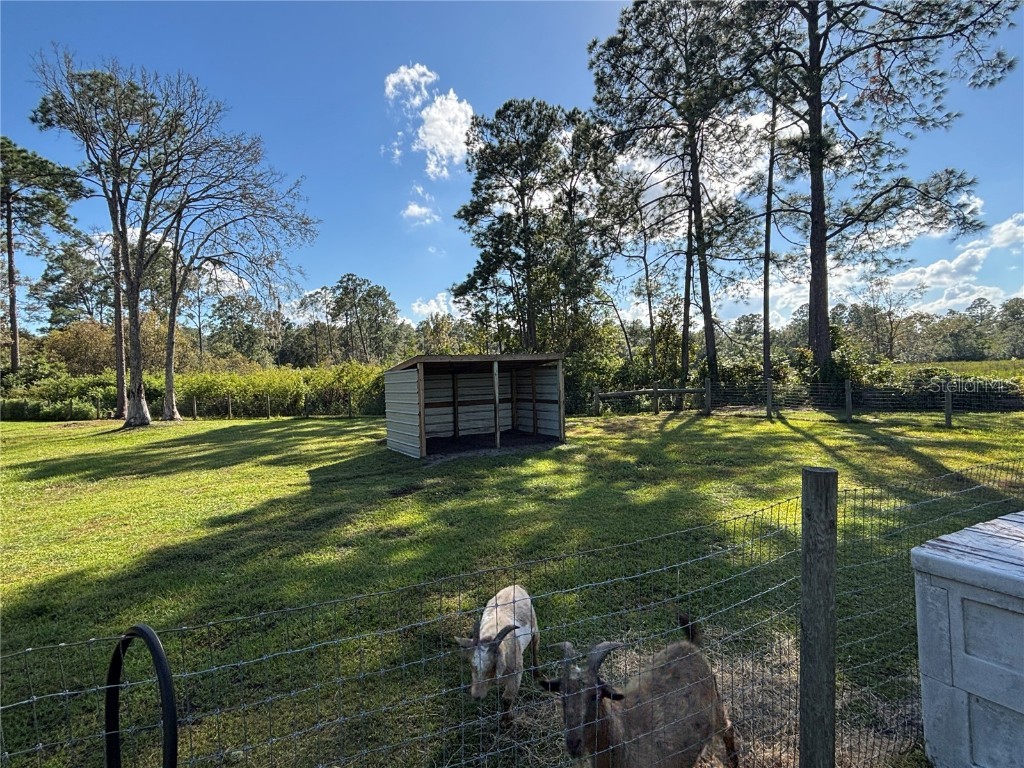 8260 SE 175th Court Ocklawaha FL 32179 OM712012 image87