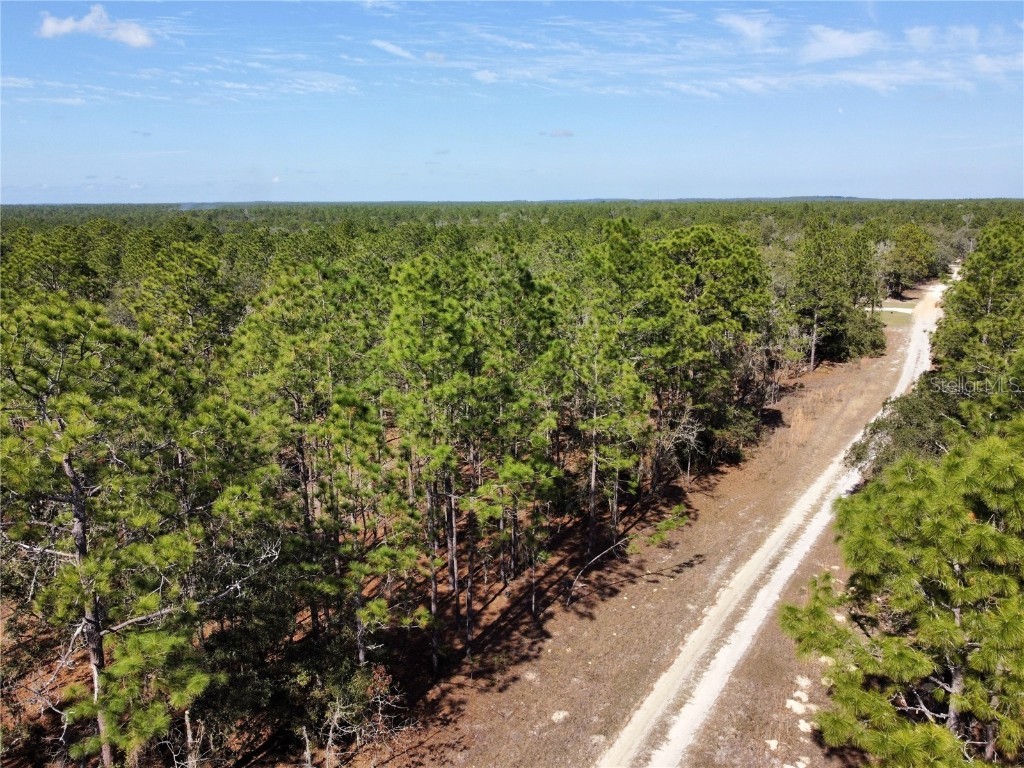 8260 SW 122nd Avenue Dunnellon FL 34432 OM652514 image1