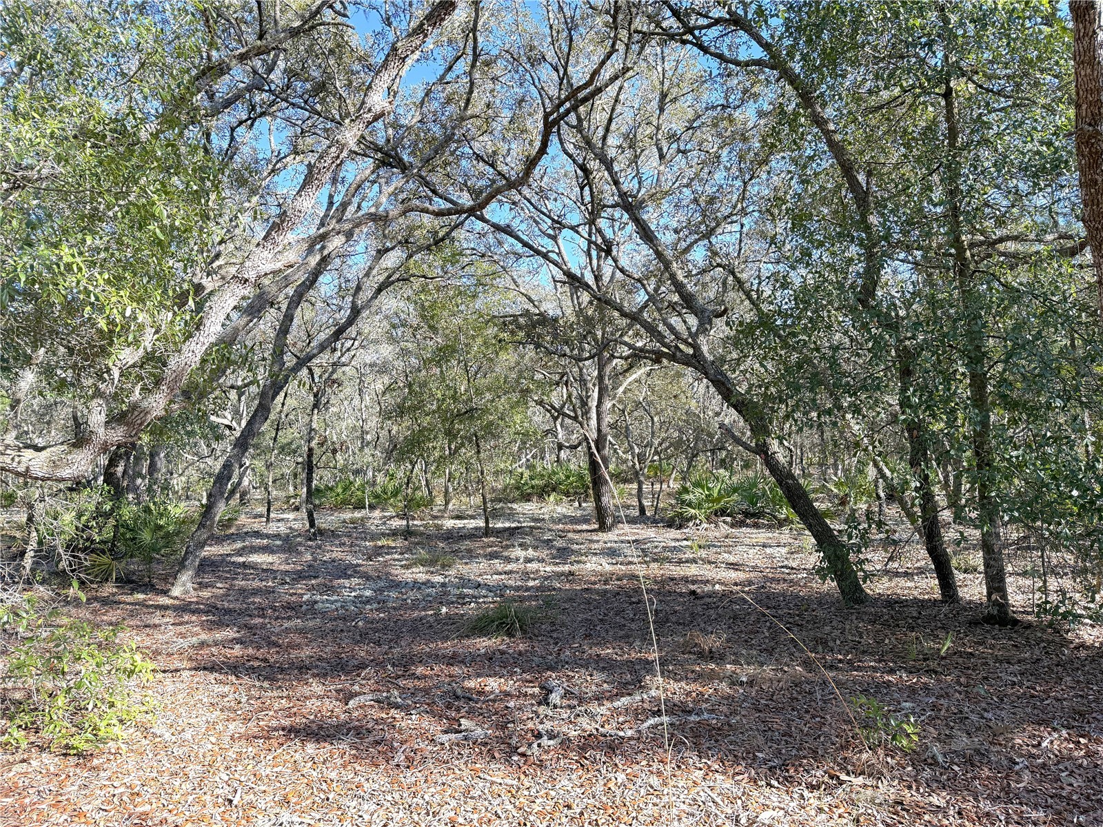 8261 NE 118th Terrace Bronson FL 32621 OM716296 image41