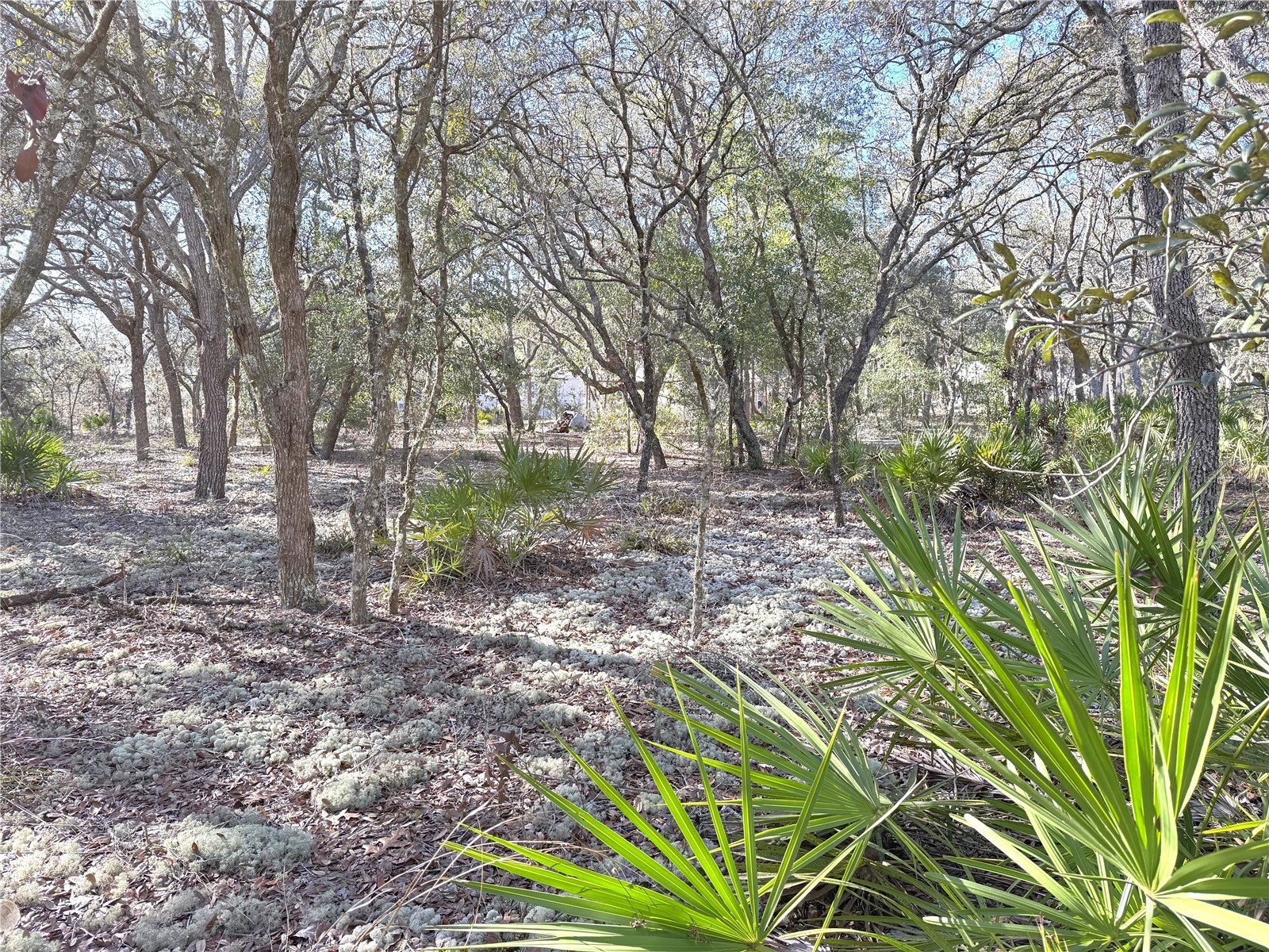 8261 NE 118th Terrace Bronson FL 32621 OM716296 image42