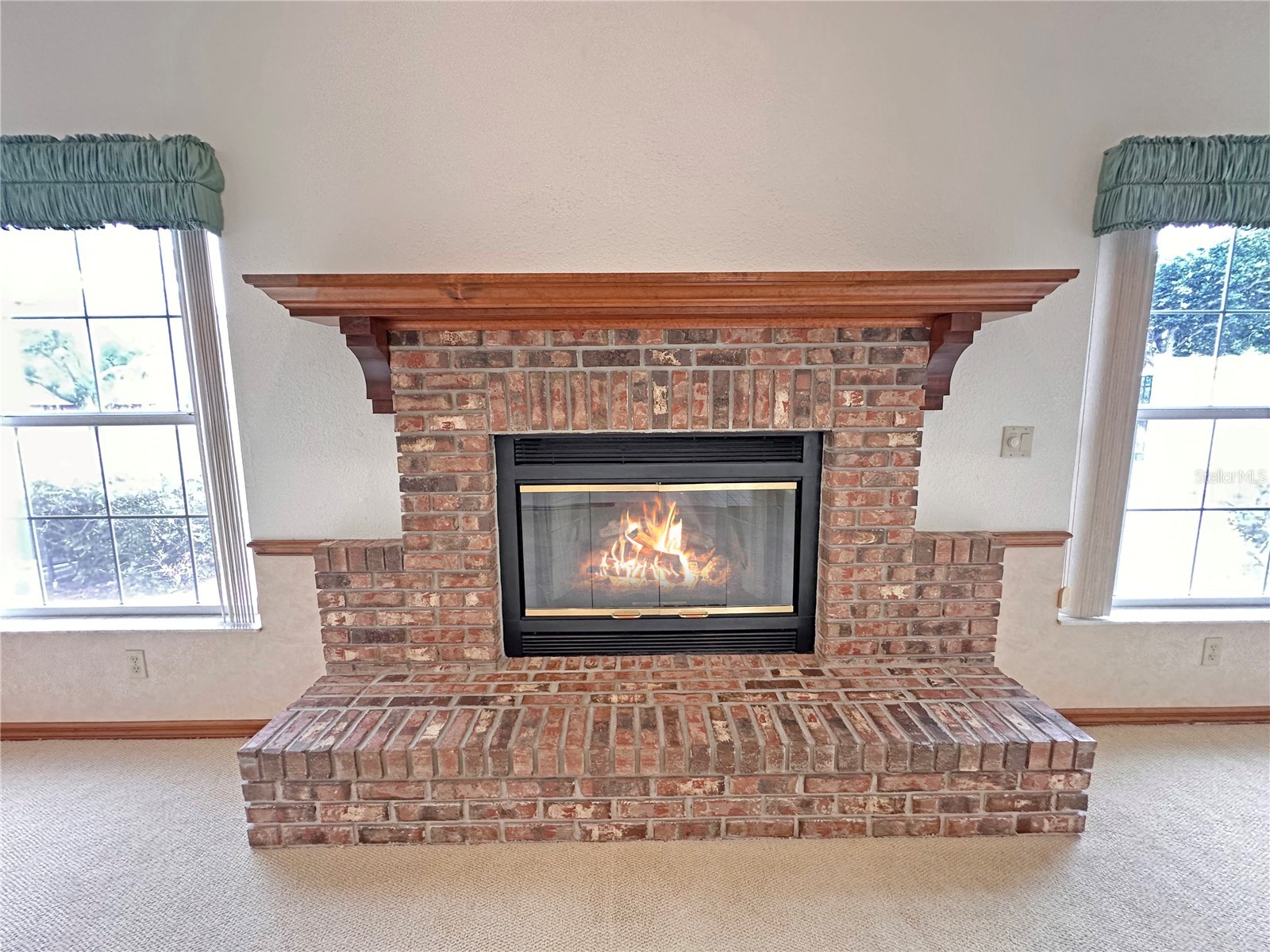 8262 Delaware Drive Weeki Wachee FL 34607 W7885965 image27