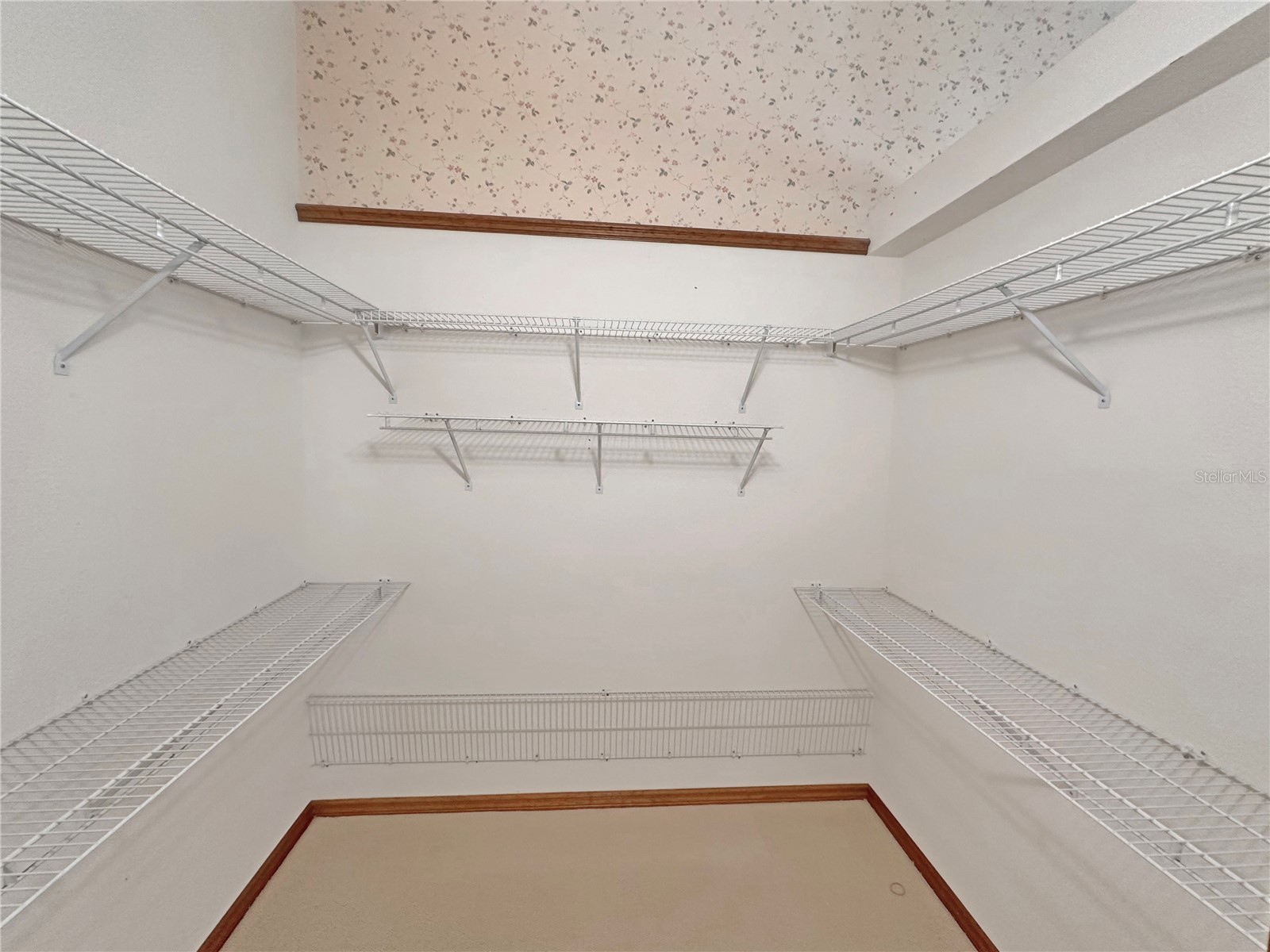 8262 Delaware Drive Weeki Wachee FL 34607 W7885965 image37