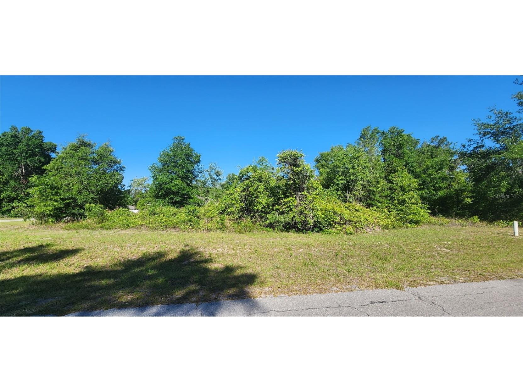 8263 SW 128th Place Ocala FL 34473 OM700156 image1