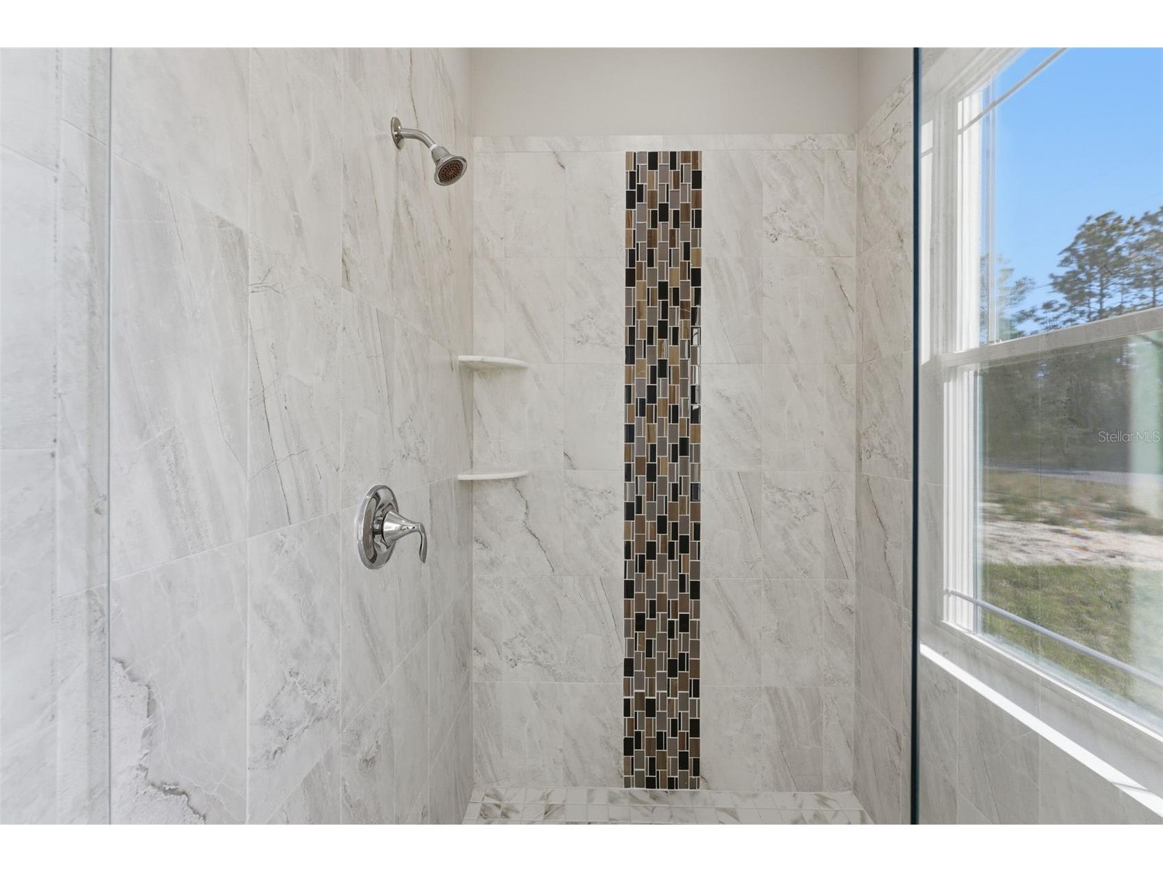 8265 N Amboy Drive Citrus Springs FL 34433 TB8458554 image44