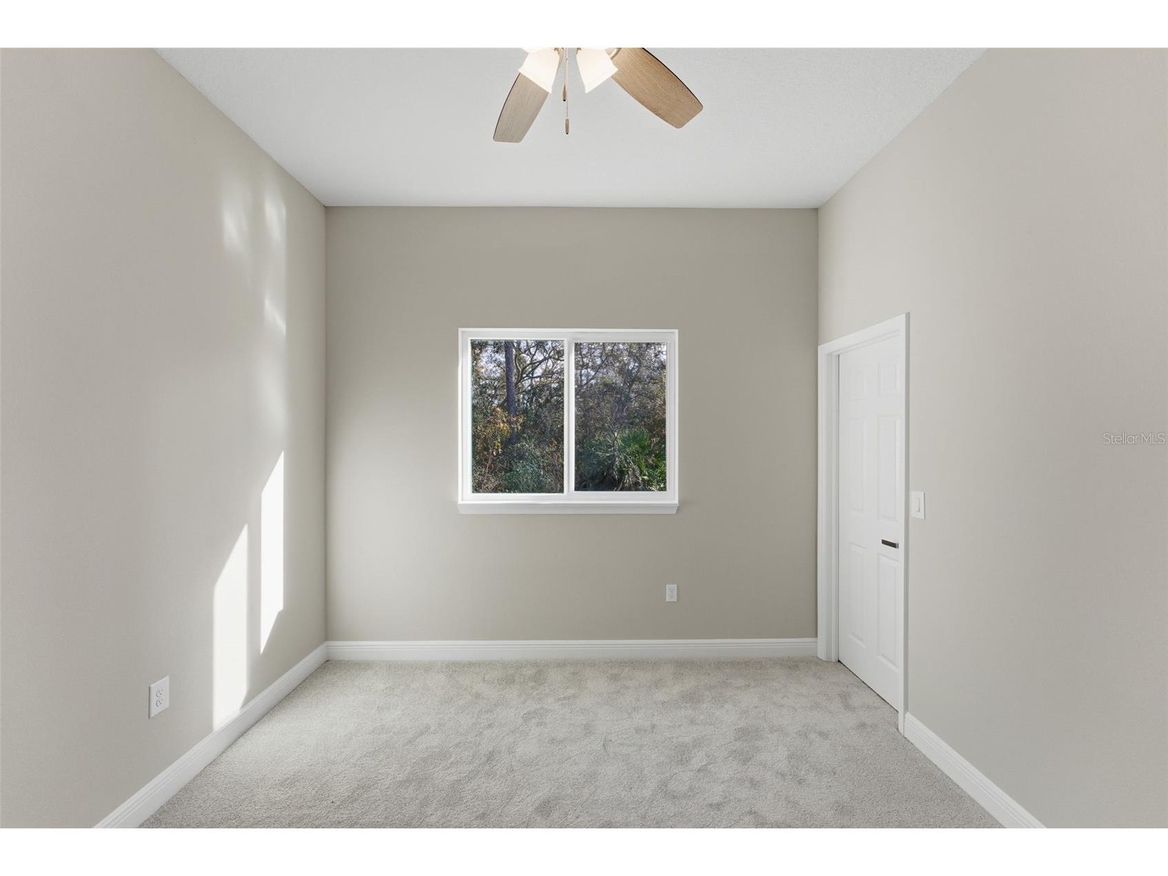 8265 N Amboy Drive Citrus Springs FL 34433 TB8458554 image54