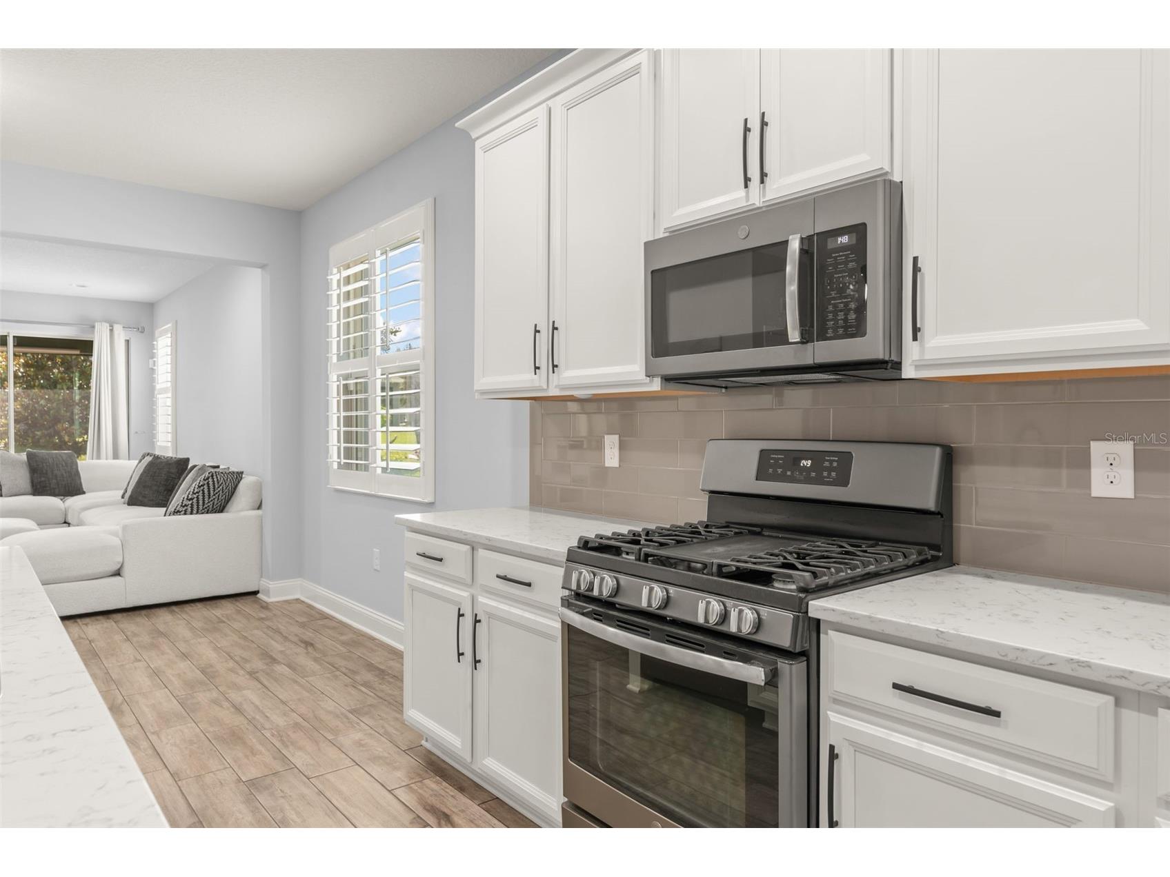 8266 Purple Sandpiper Avenue Winter Garden FL 34787 O6411387 image14