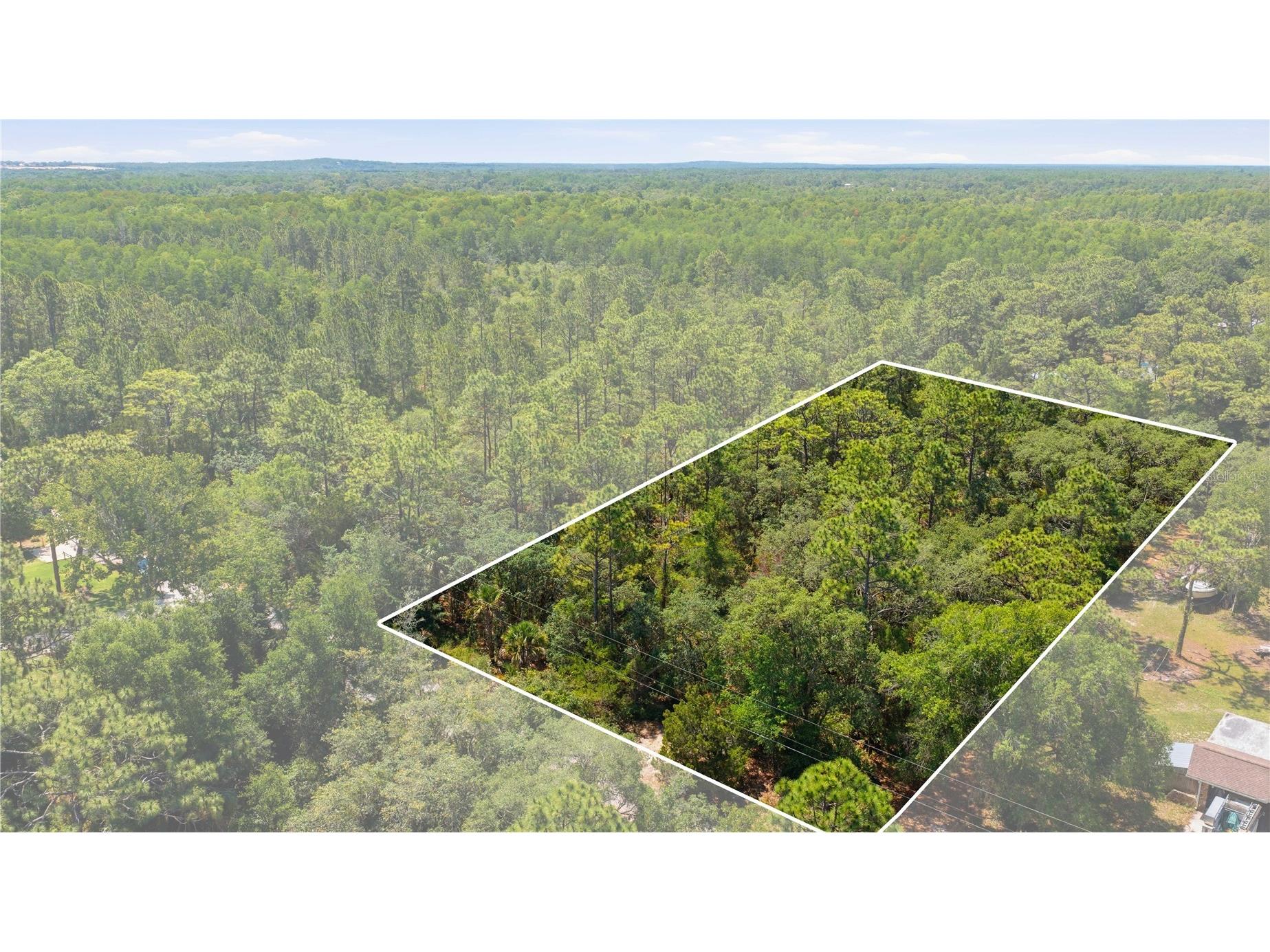 8266 W Anna Gail Lane Crystal River FL 34429 OM727854 image1