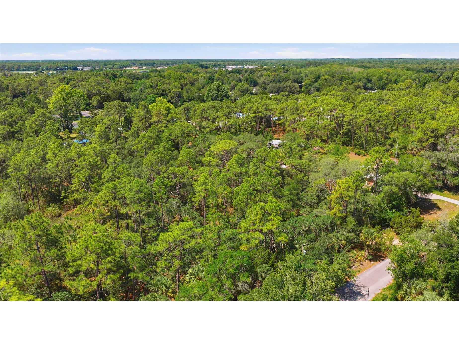 8266 W Anna Gail Lane Crystal River FL 34429 OM727854 image2