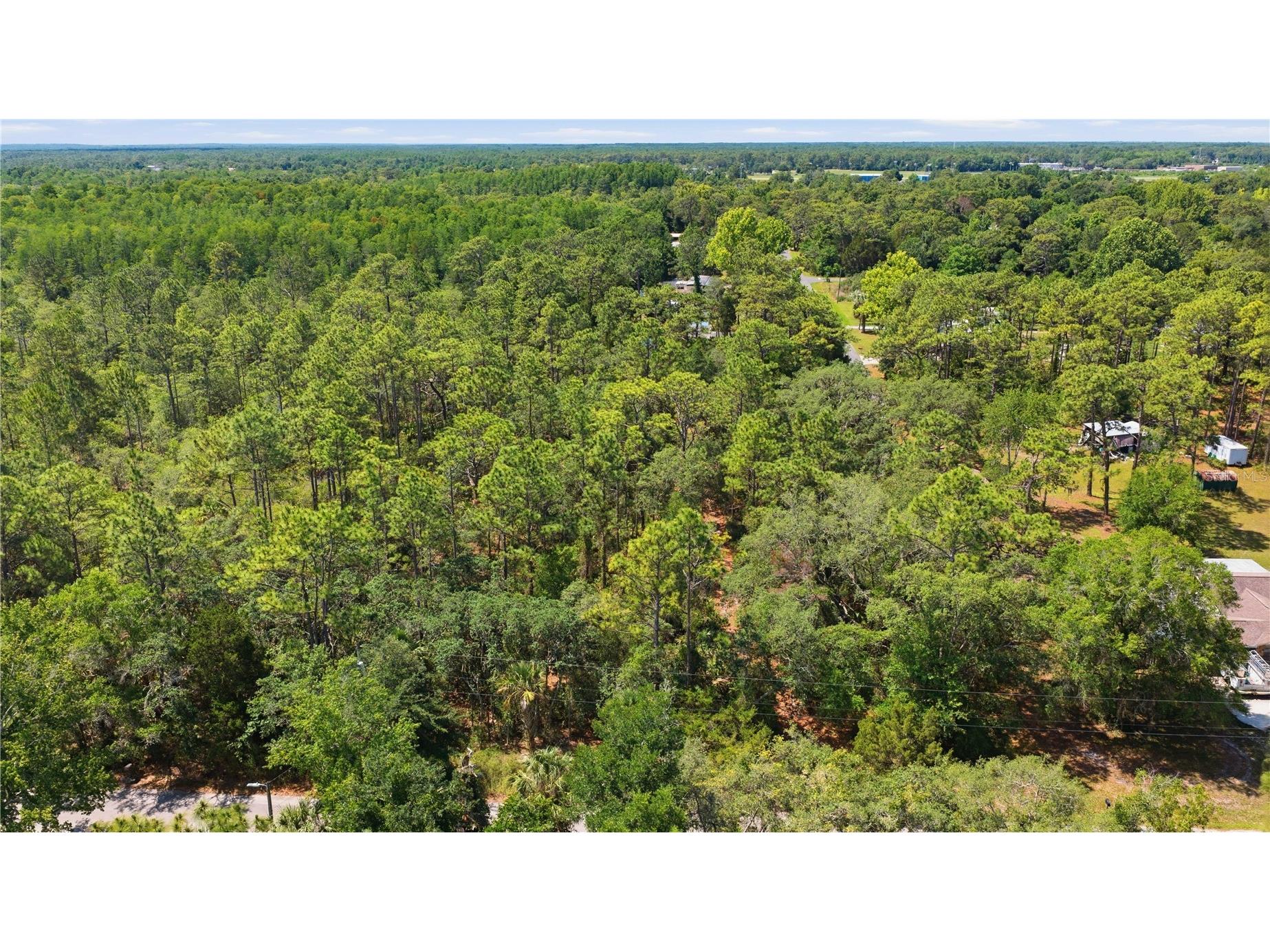 8266 W Anna Gail Lane Crystal River FL 34429 OM727854 image3