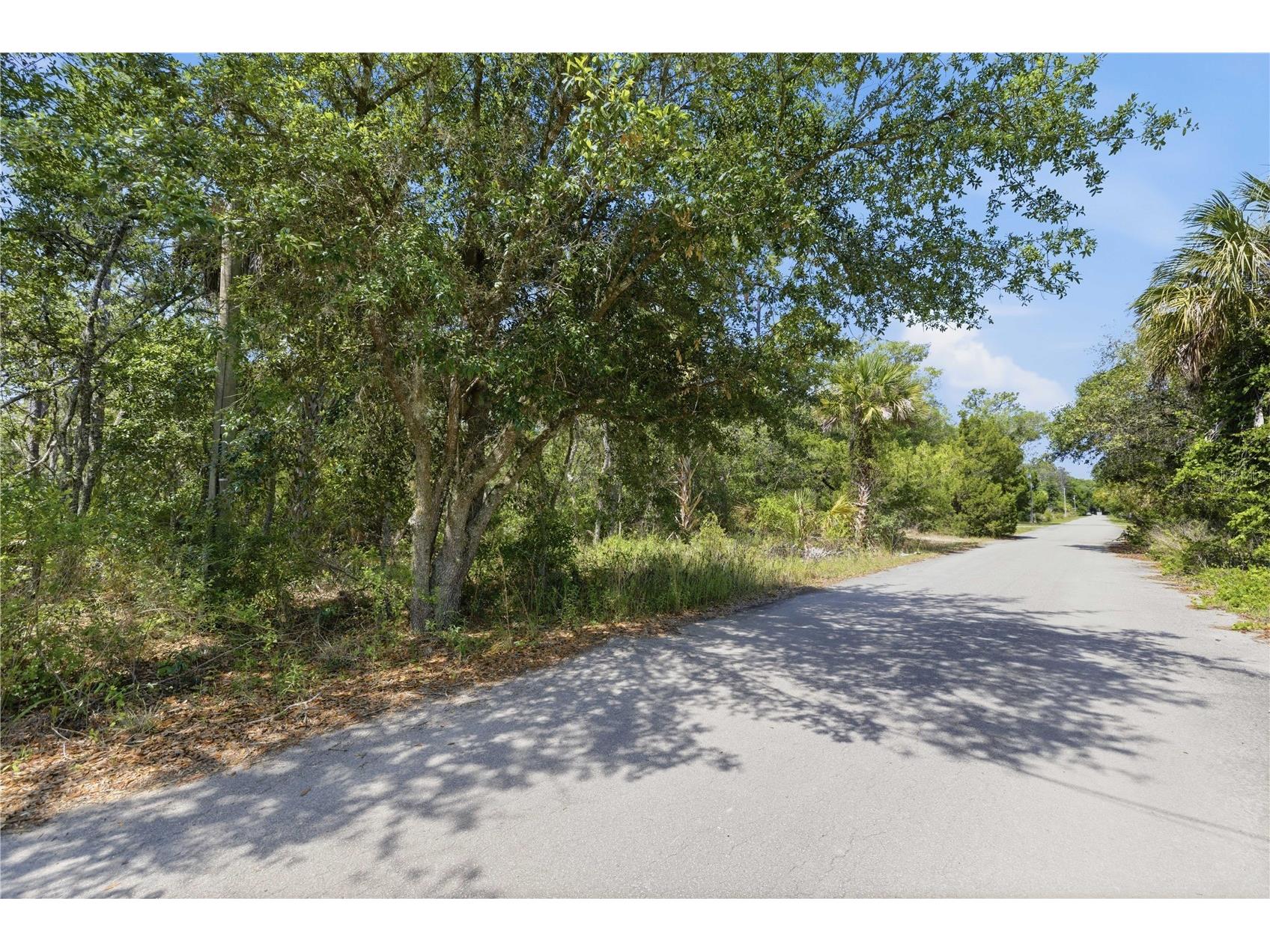8266 W Anna Gail Lane Crystal River FL 34429 OM727854 image5