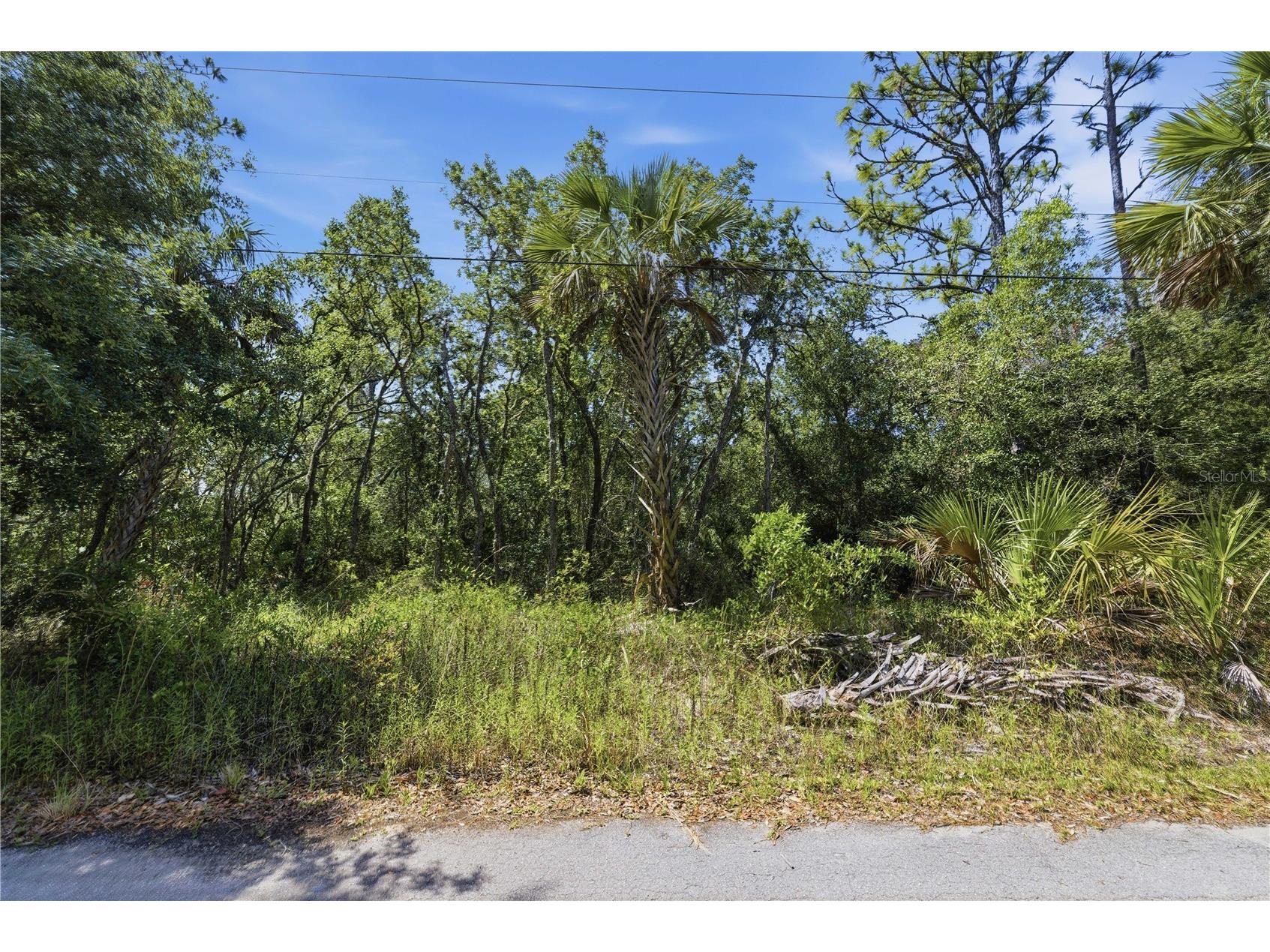 8266 W Anna Gail Lane Crystal River FL 34429 OM727854 image6