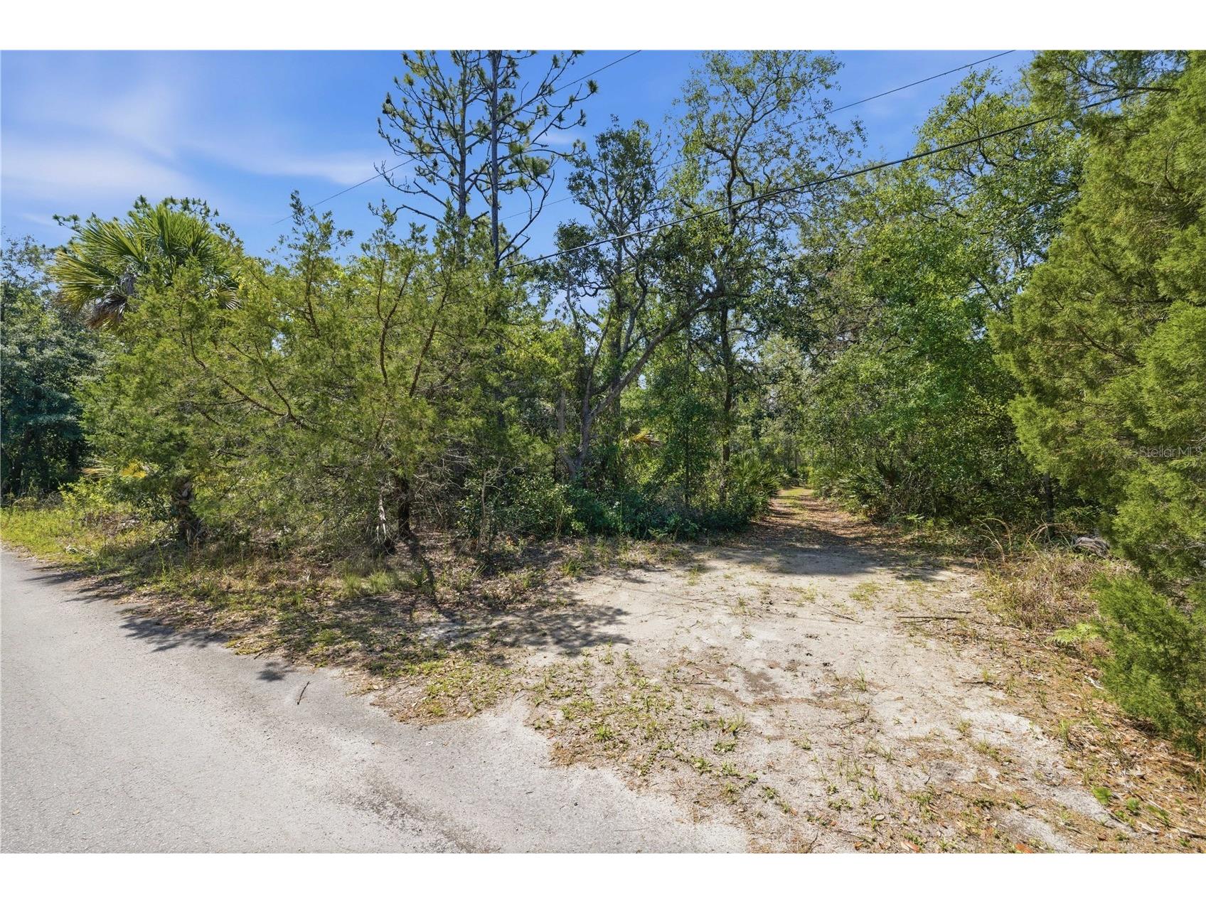 8266 W Anna Gail Lane Crystal River FL 34429 OM727854 image7