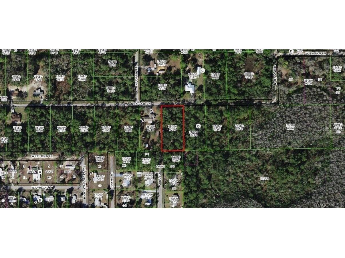 8266 W Anna Gail Lane Crystal River FL 34429 OM727854 image8
