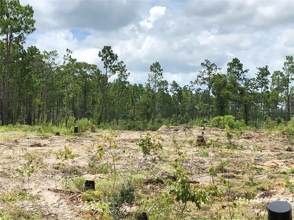 8266 W Jennifer Court Crystal River FL 34428 T3450374 image1