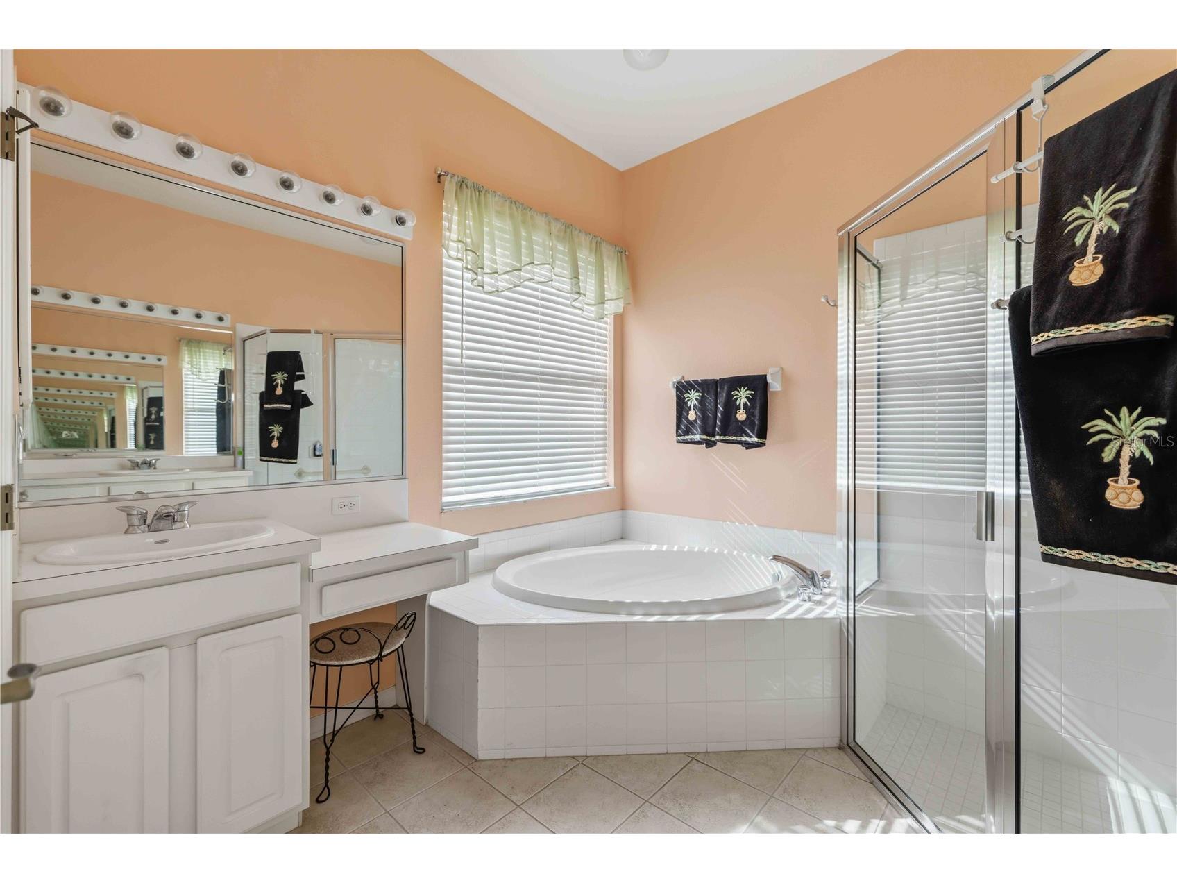 8268 47th Street Circle E Palmetto FL 34221 A4698158 image22