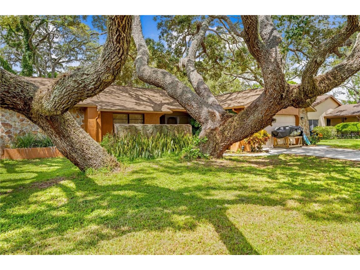 8268 Garrison Street Spring Hill FL 34606 TB8401211 image1