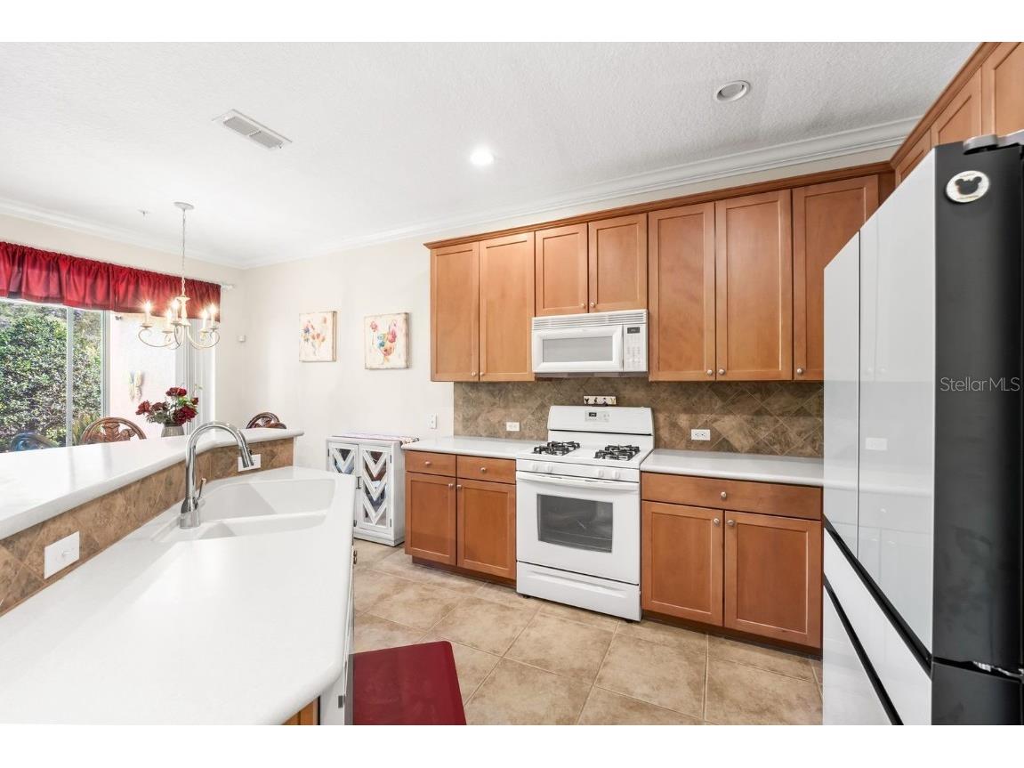 827 Assembly Court Reunion FL 34747 O6354735 image6