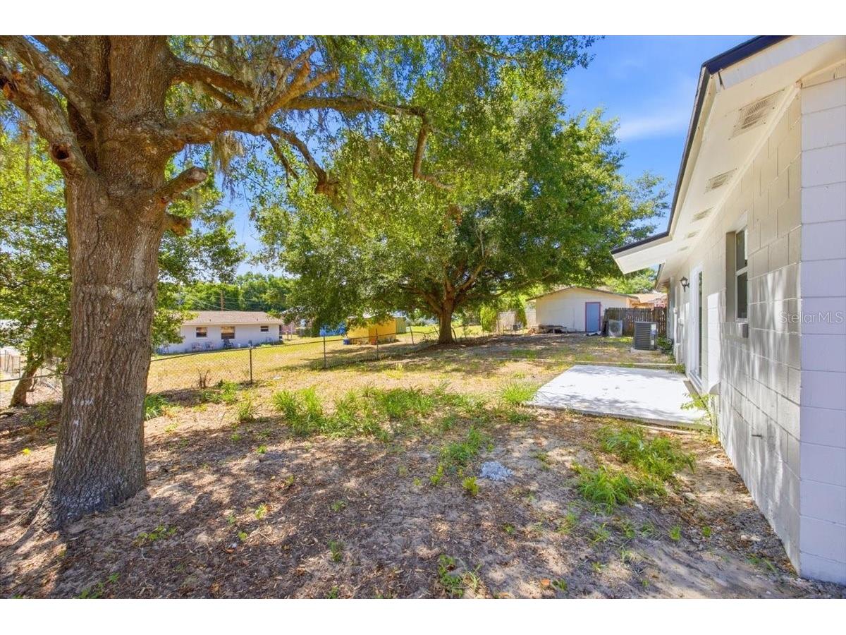 827 Everett Street Lake Alfred FL 33850 O6410549 image26