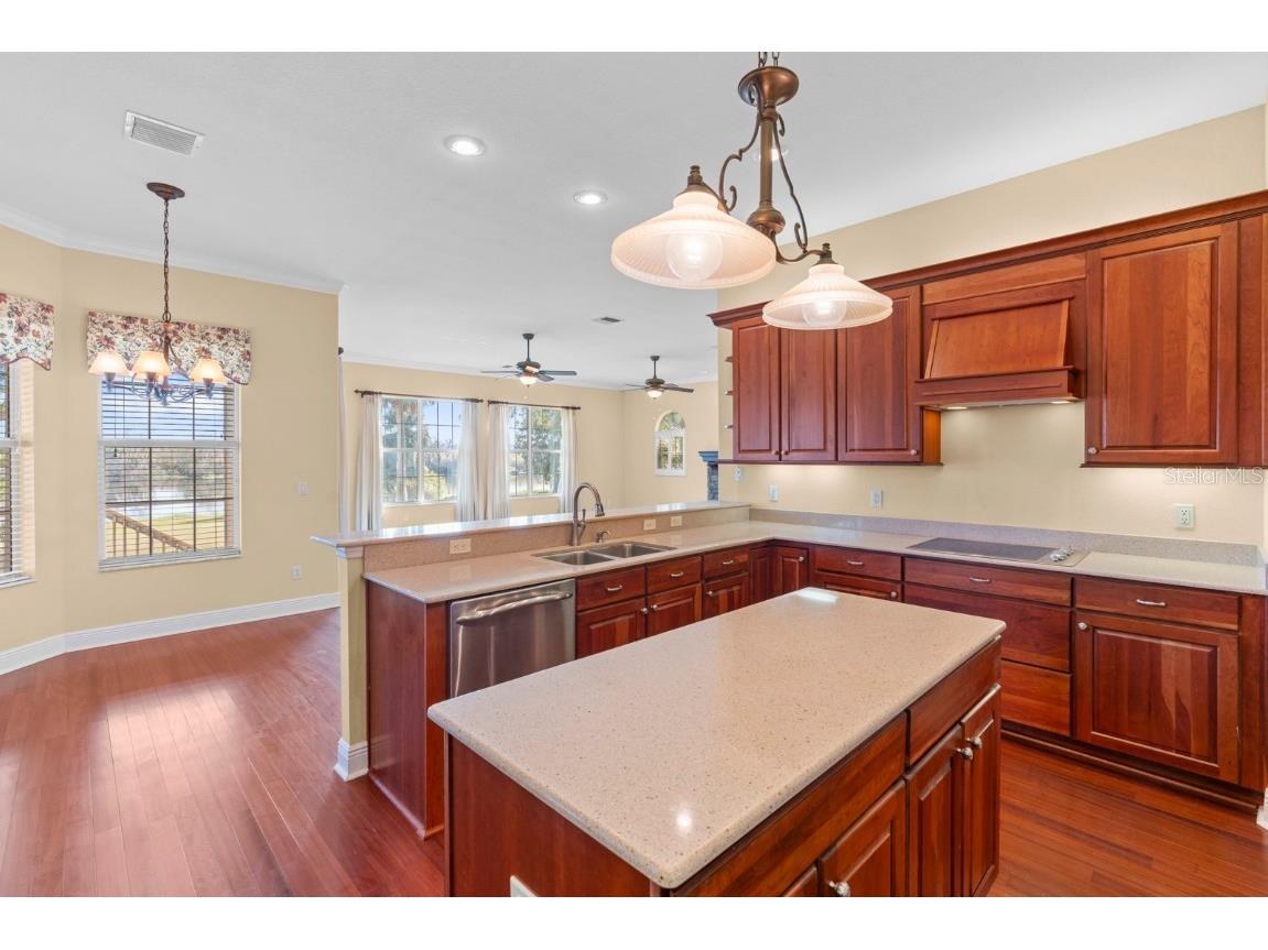 827 John Cressler Drive Seffner FL 33584 TB8452259 image10