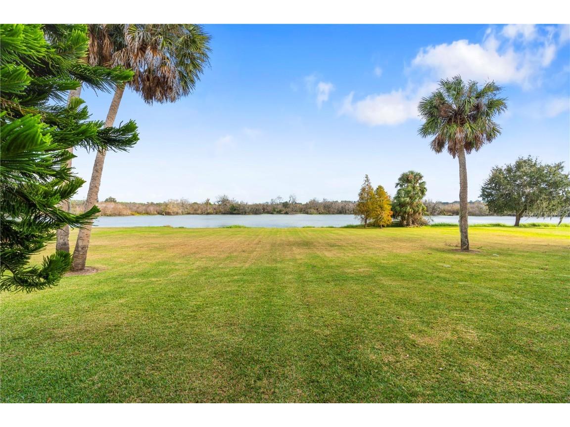 827 John Cressler Drive Seffner FL 33584 TB8452259 image42