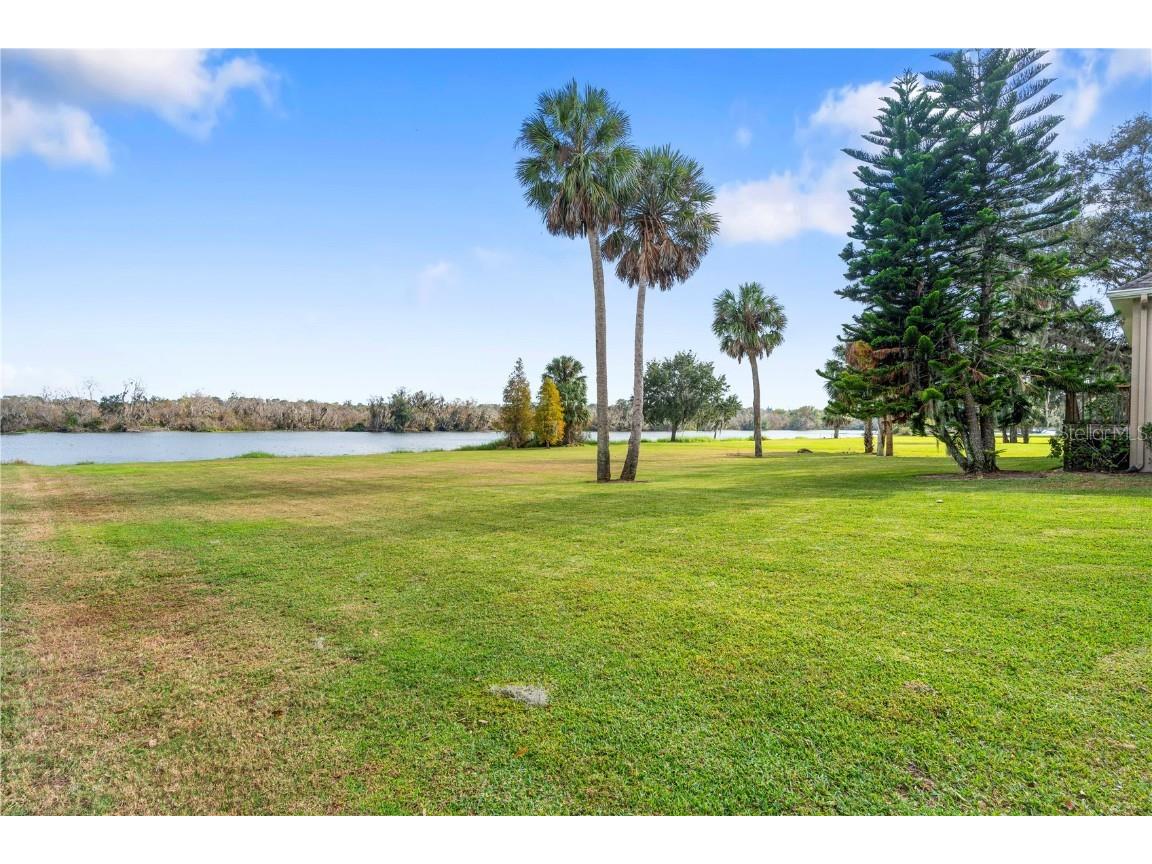 827 John Cressler Drive Seffner FL 33584 TB8452259 image52