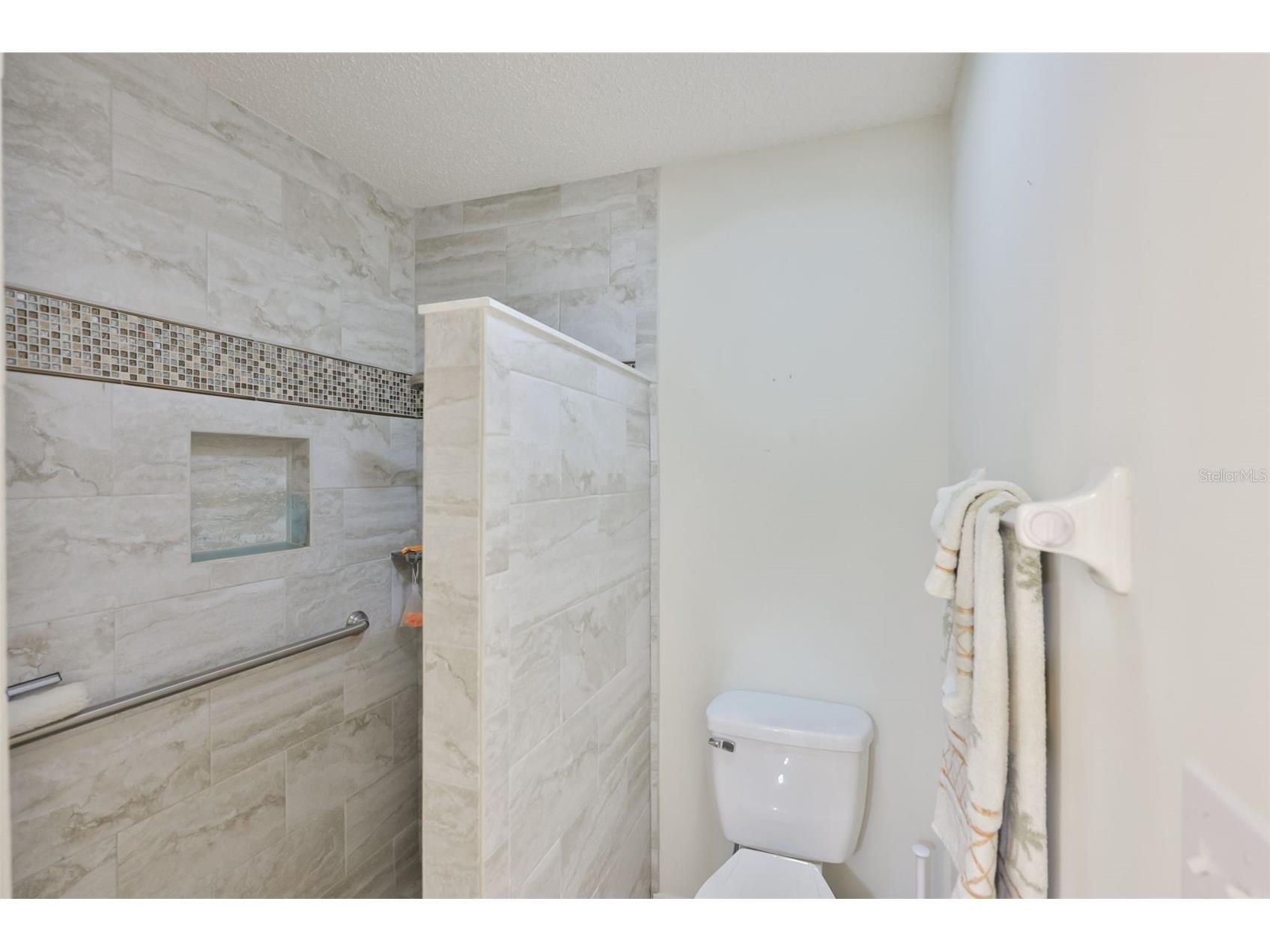 827 Mccallister Avenue #55 Sun City Center FL 33573 TB8500452 image26