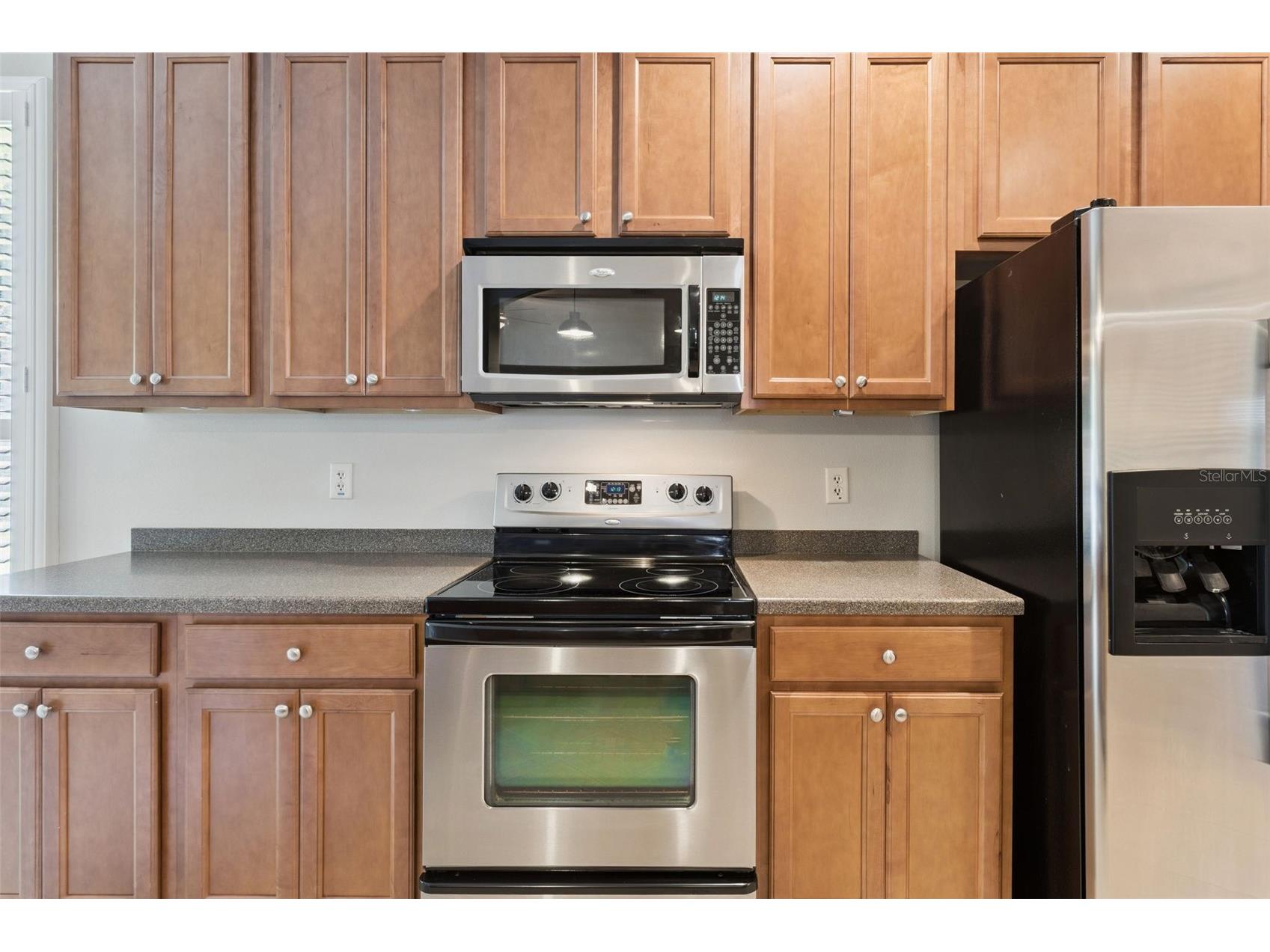 8270 Bridgeport Bay Circle Mount Dora FL 32757 O6424673 image17