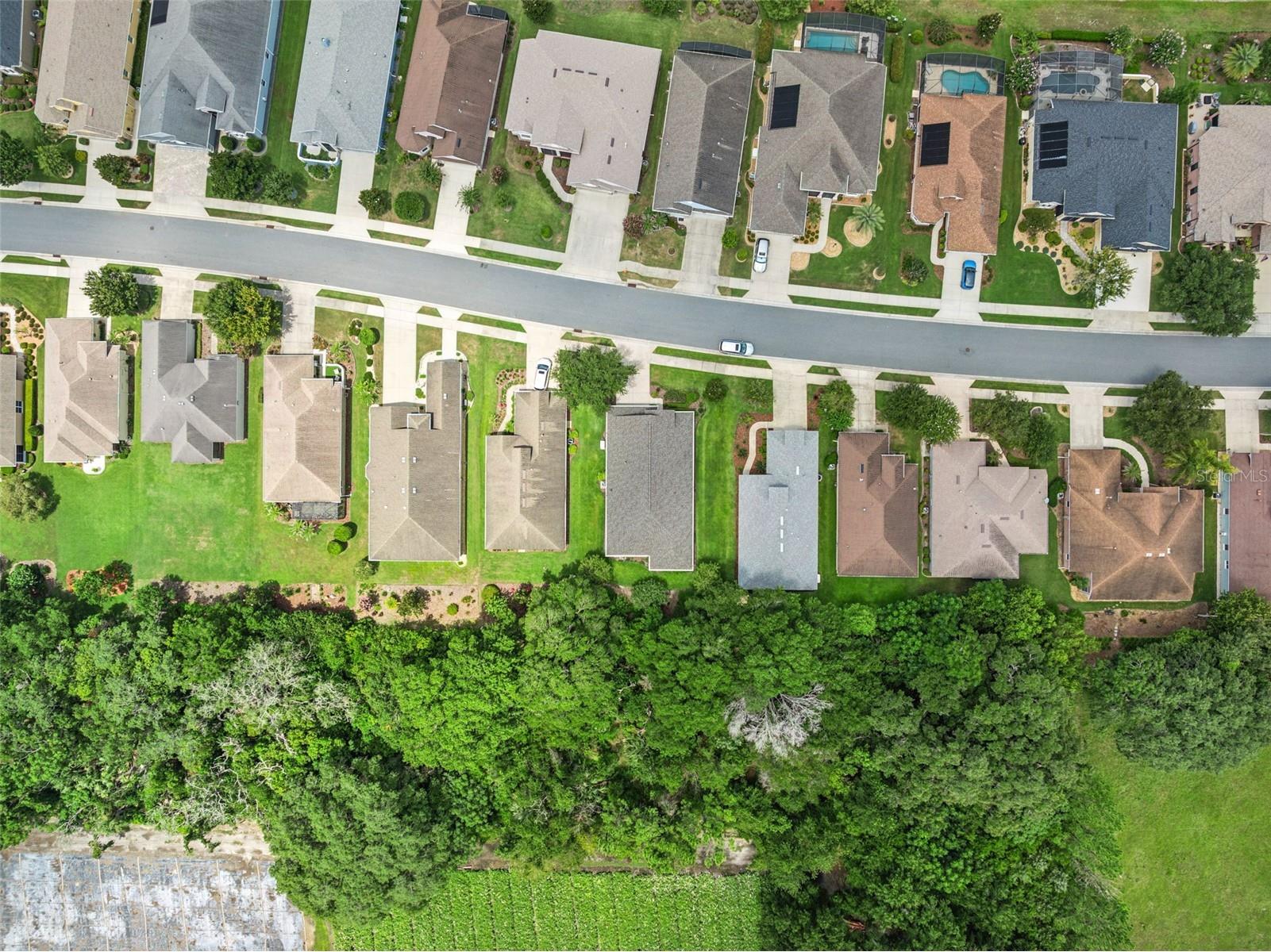 8270 Bridgeport Bay Circle Mount Dora FL 32757 O6424673 image38