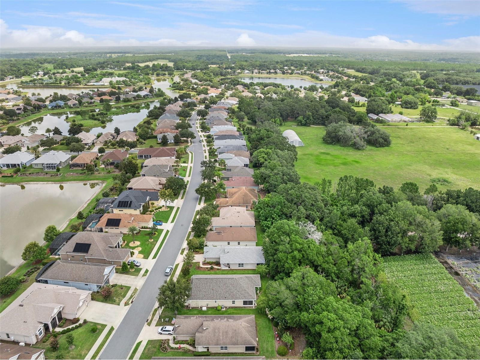 8270 Bridgeport Bay Circle Mount Dora FL 32757 O6424673 image40