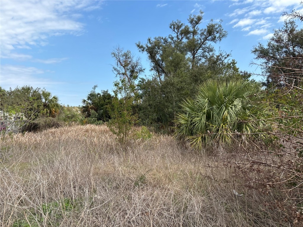 8270 Commercial Way Weeki Wachee FL 34613 W7874584 image1