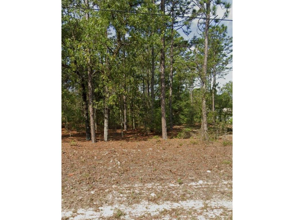 8270 N Pitcairn Way Citrus Springs FL 34434 O6208740 image1