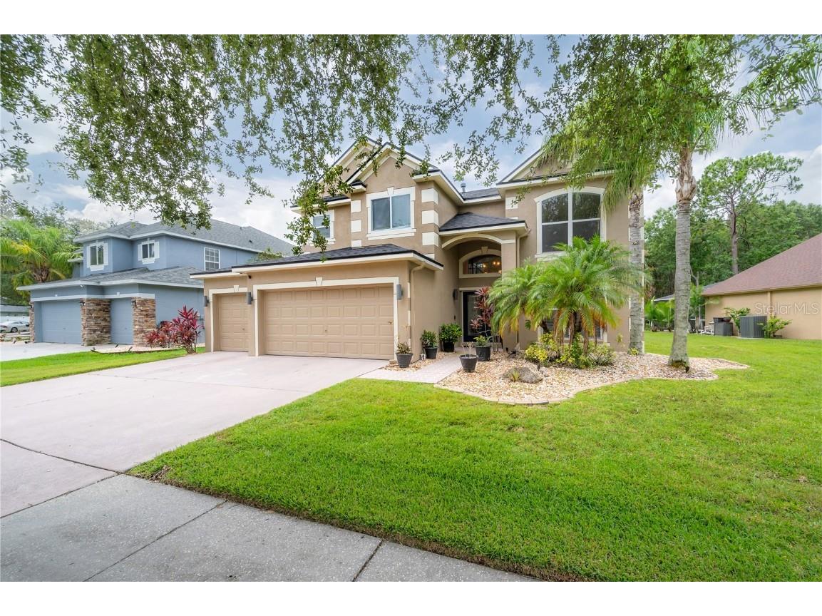 8273 Swann Hollow Drive Tampa FL 33647 T3455628 image1