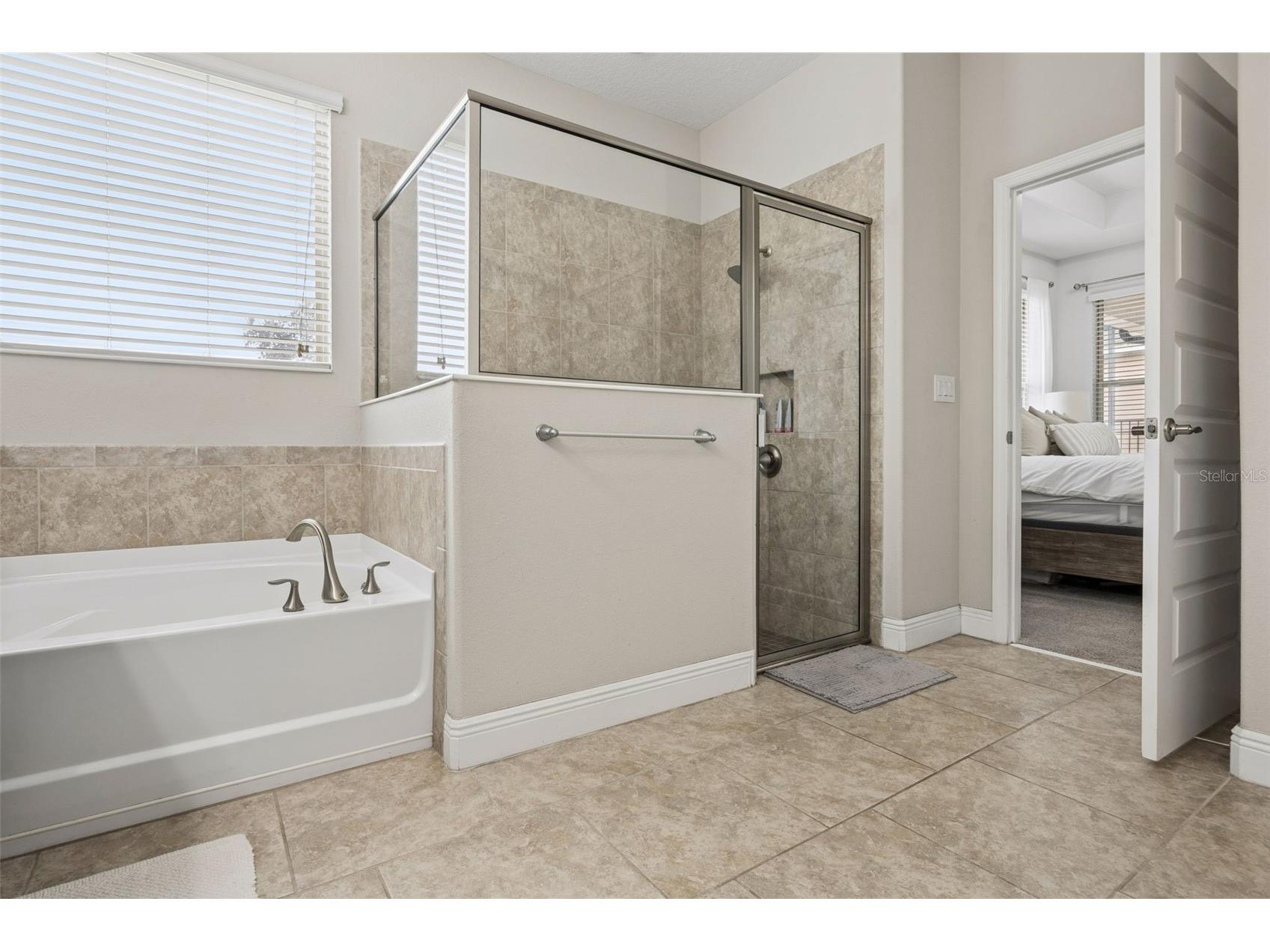8275 Bayview Crossing Dr Drive Winter Garden FL 34787 TB8496196 image24