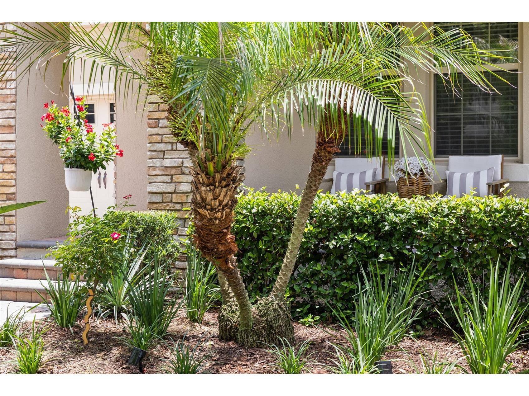 8275 Bayview Crossing Dr Drive Winter Garden FL 34787 TB8496196 image41