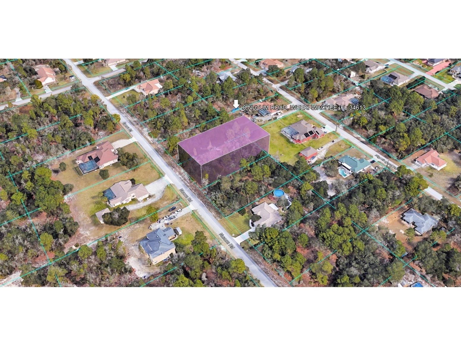 8276 Nuzum Road Weeki Wachee FL 34613 T3546560 image1