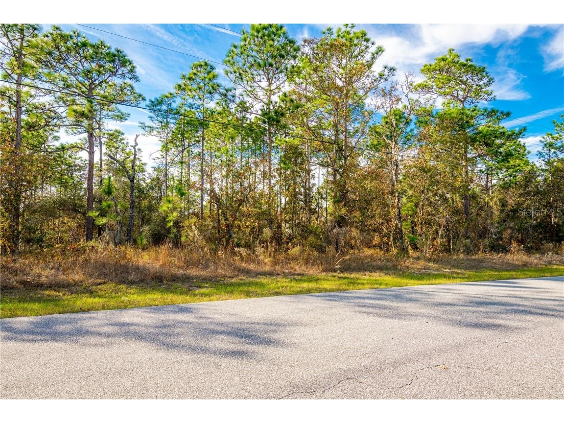 8278 N Triana Drive Citrus Springs FL 34434 T3419044 image1