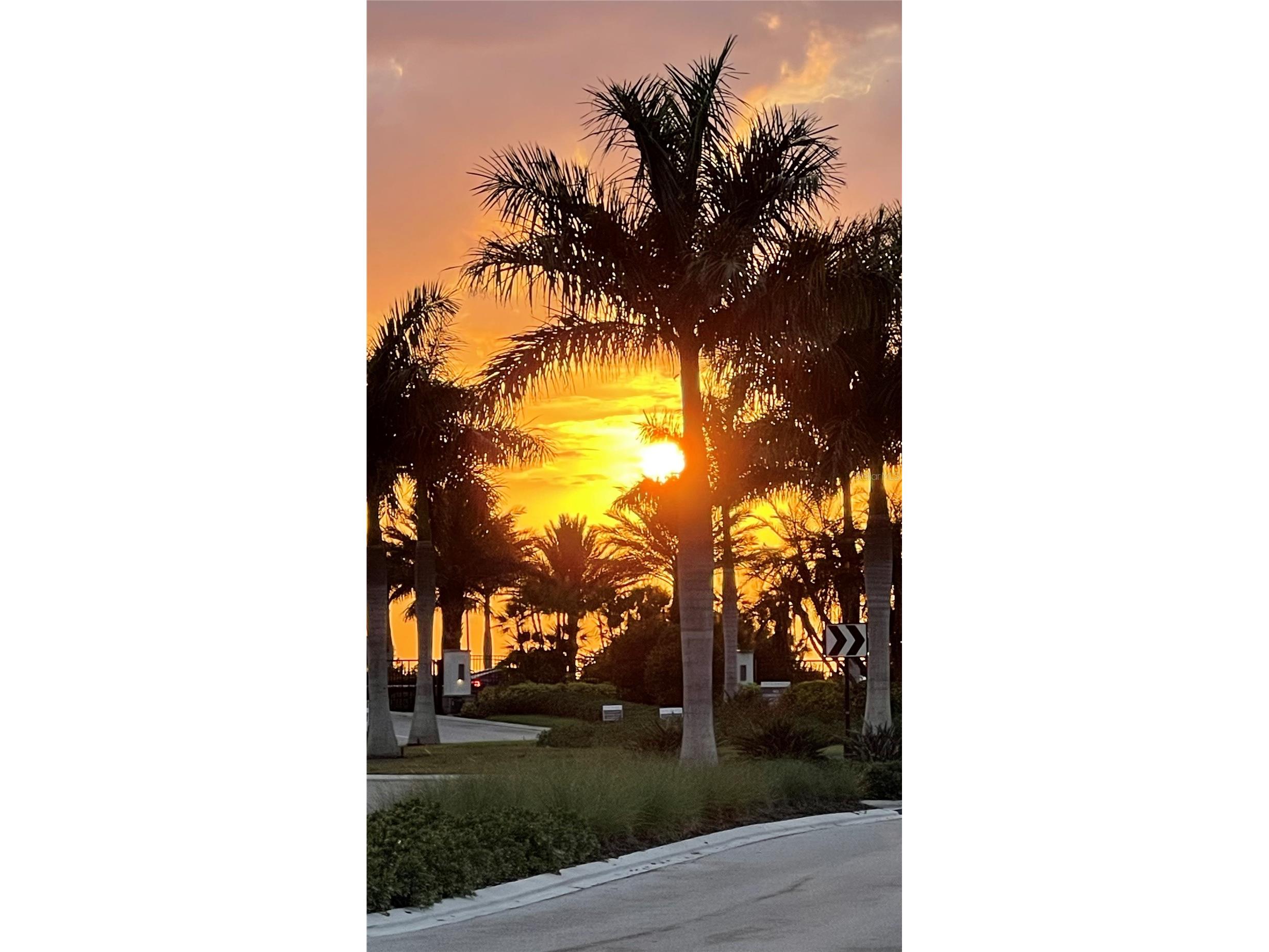 8278 Velda Trail Sarasota FL 34241 TB8498656 image3