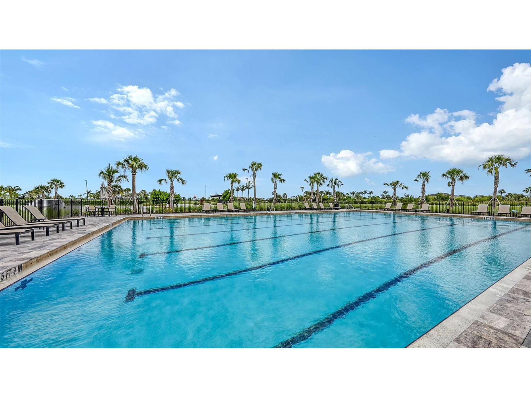 8278 Velda Trail Sarasota FL 34241 TB8498656 image59