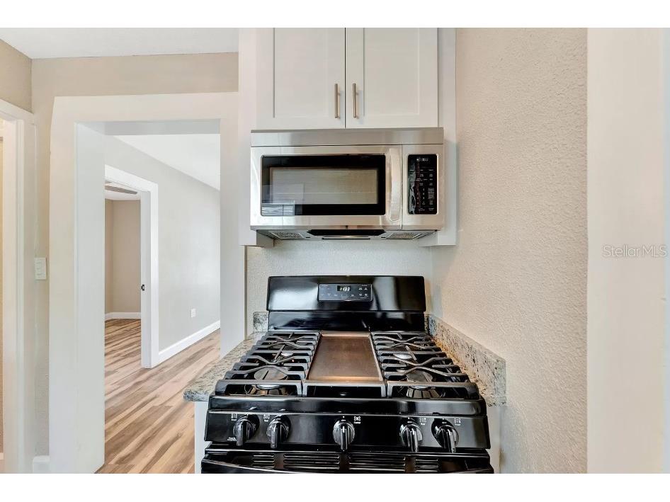 828 22nd Avenue N #1/2 Saint Petersburg FL 33704 TB8506236 image7
