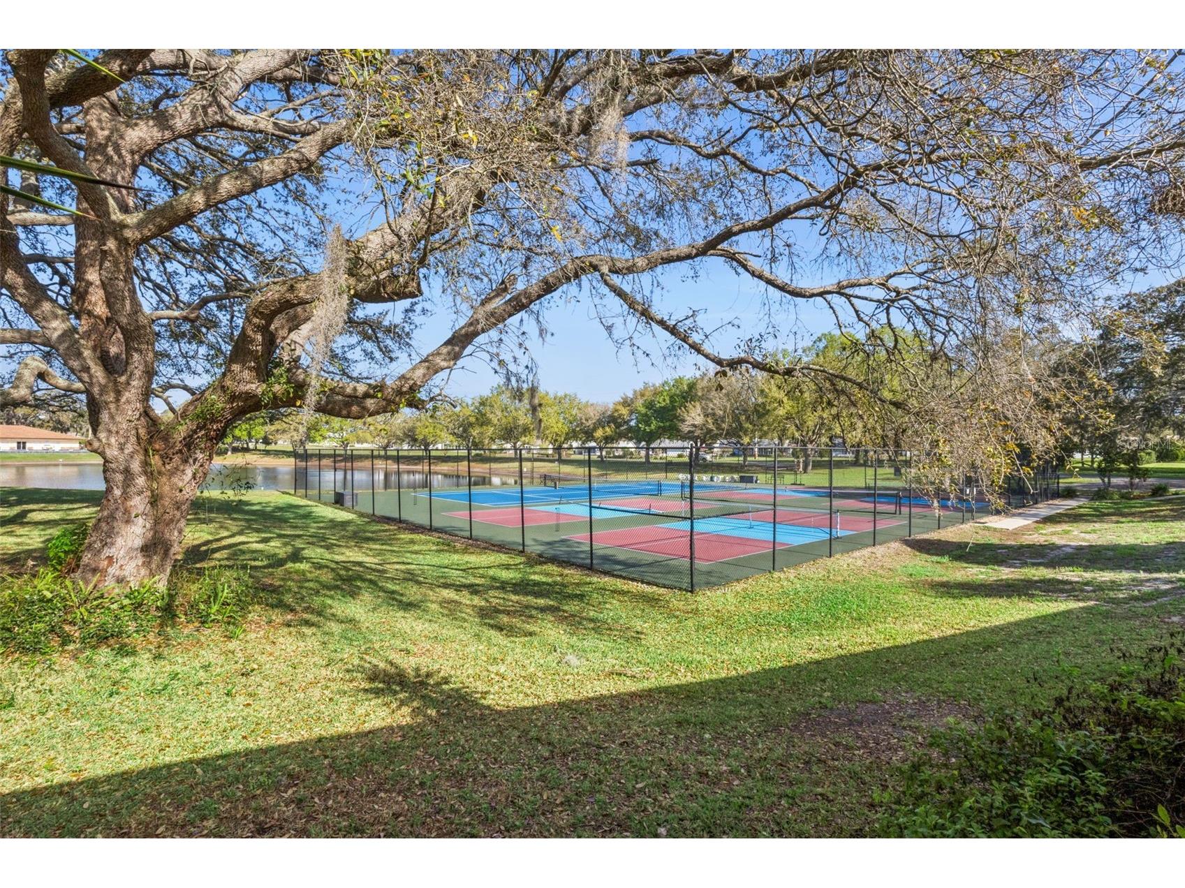 828 Dundee Circle Leesburg FL 34788 G5109725 image31