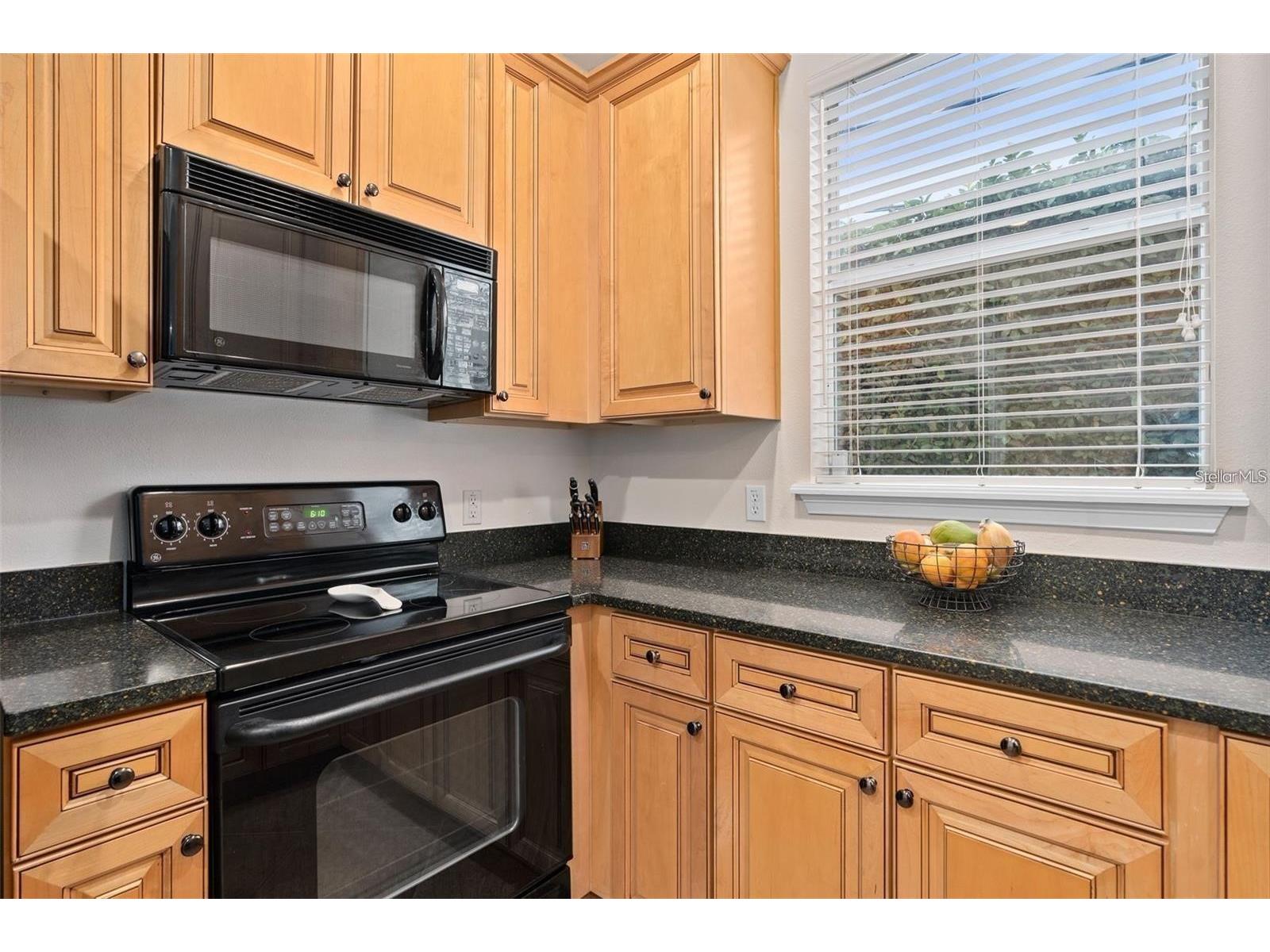 828 Ellwood Avenue #J Orlando FL 32804 O6408245 image6