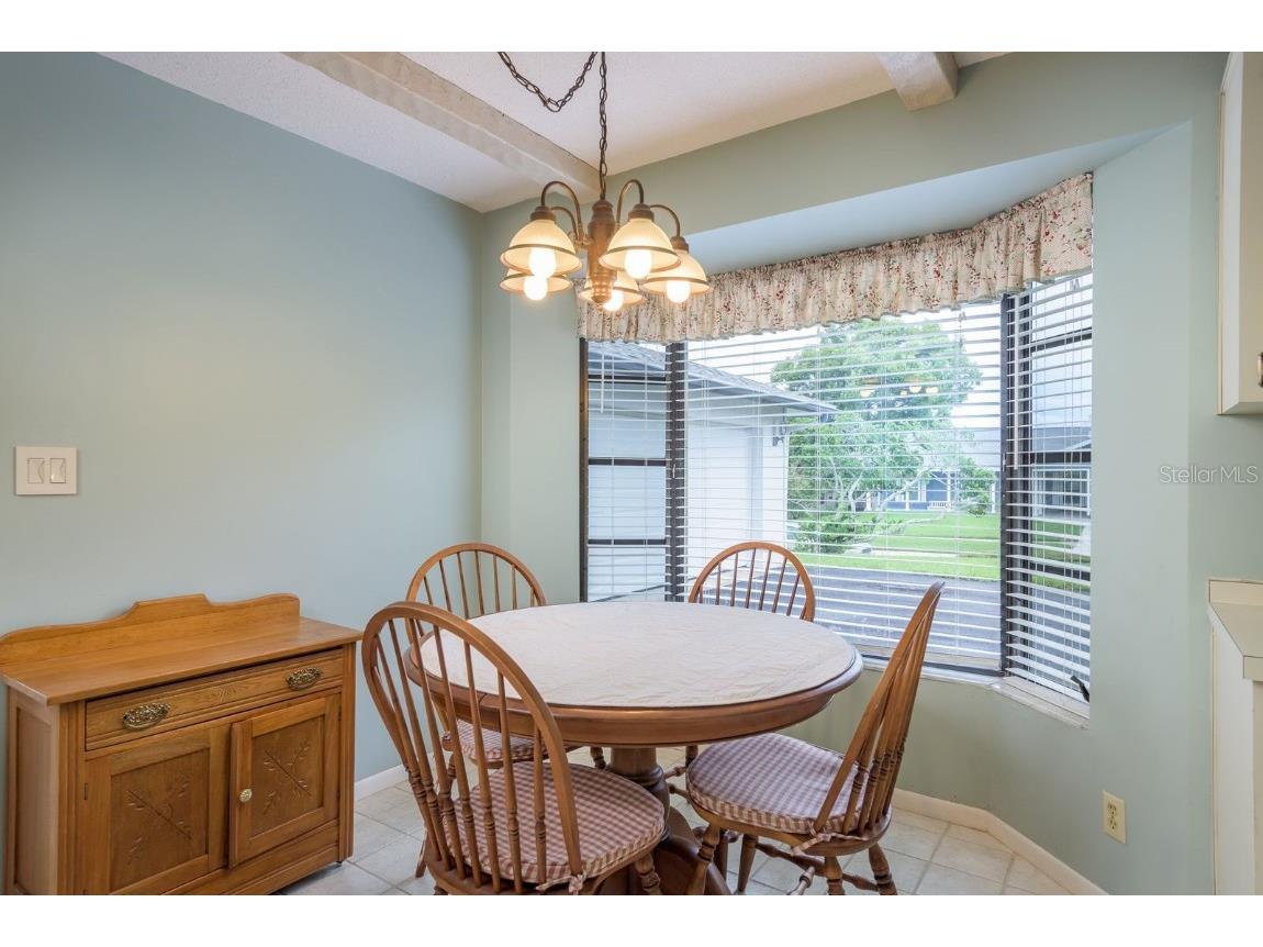 828 Lakeside Terrace Palm Harbor FL 34683 TB8412903 image14