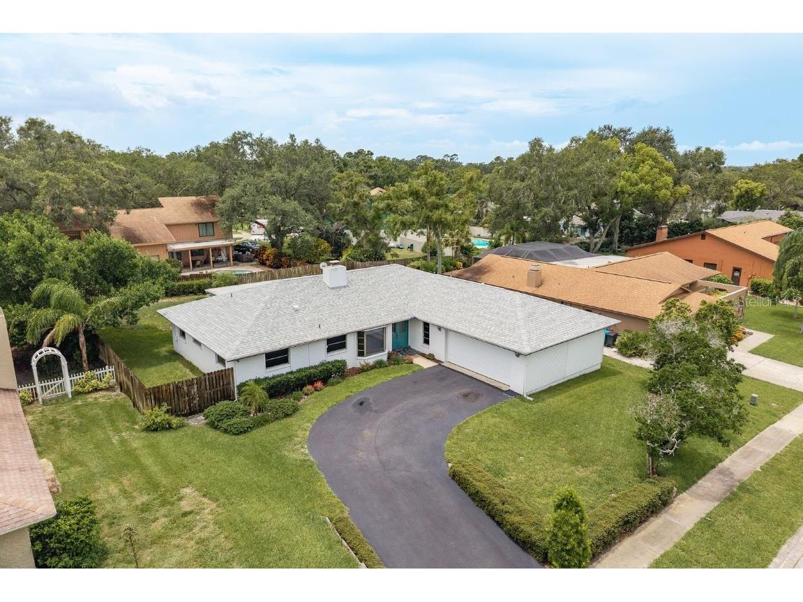 828 Lakeside Terrace Palm Harbor FL 34683 TB8412903 image28