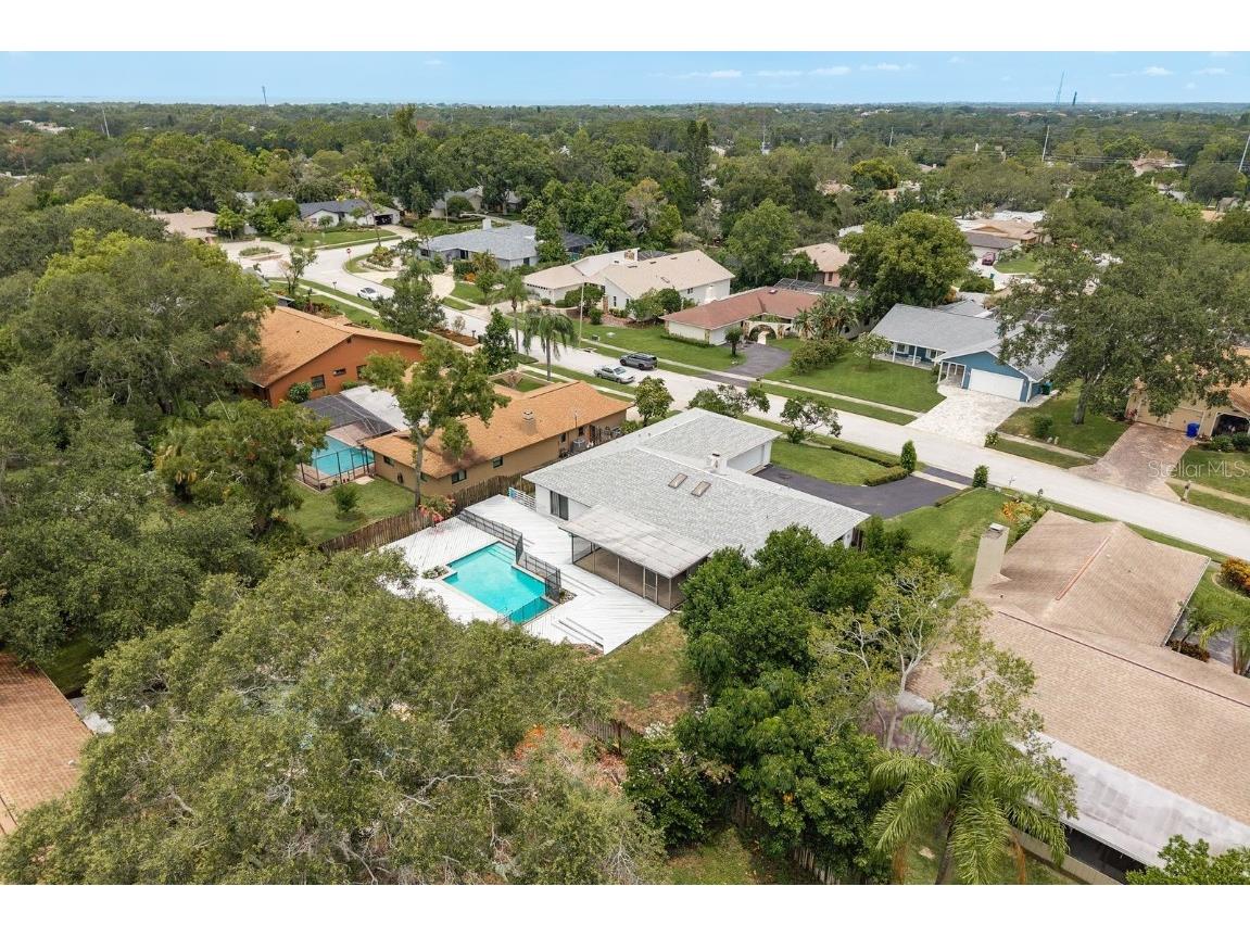 828 Lakeside Terrace Palm Harbor FL 34683 TB8412903 image30