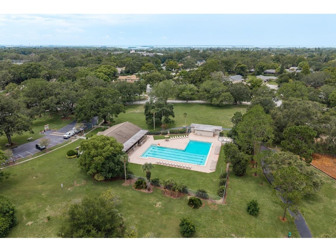 828 Lakeside Terrace Palm Harbor FL 34683 TB8412903 image33