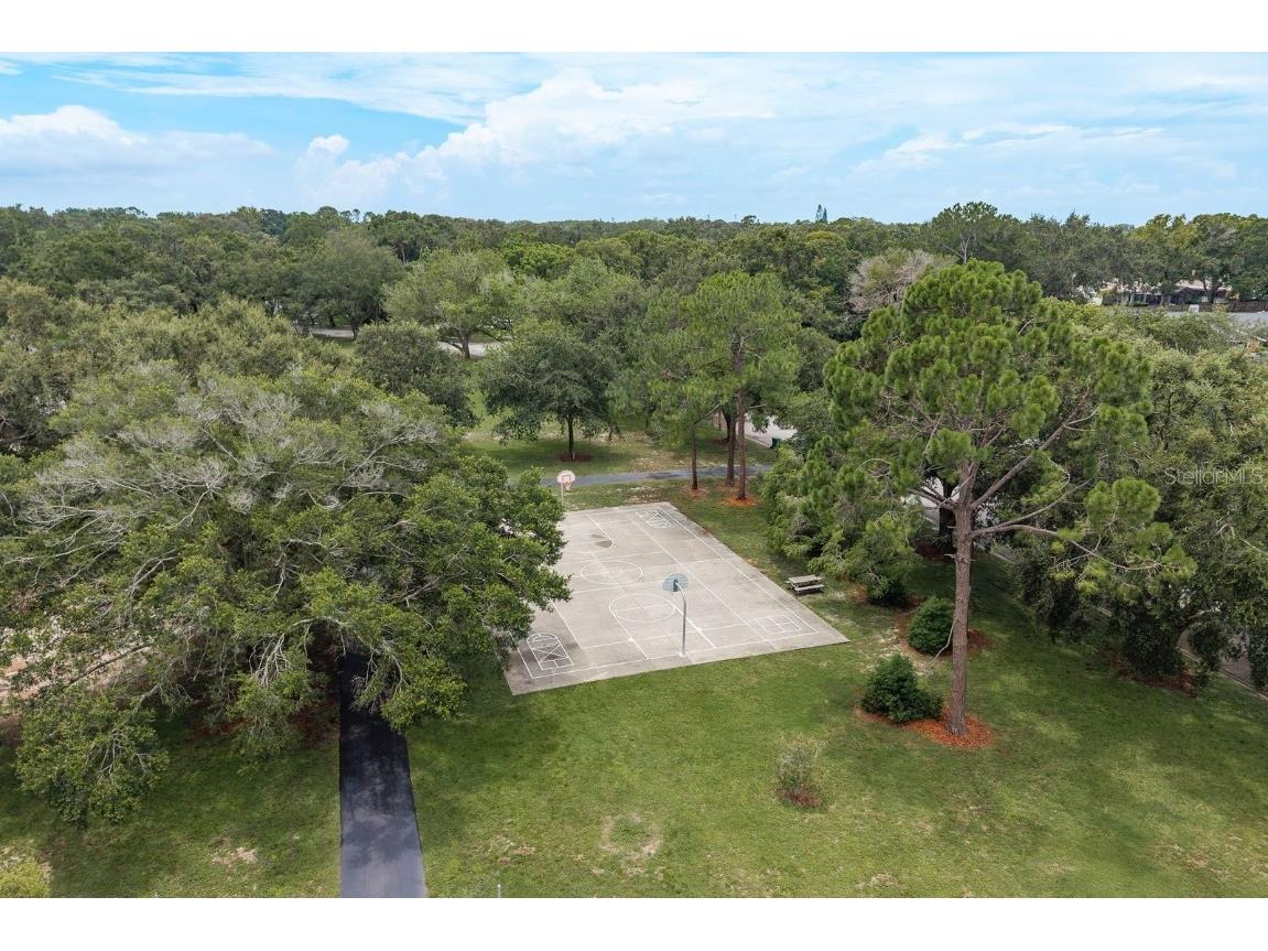 828 Lakeside Terrace Palm Harbor FL 34683 TB8412903 image35