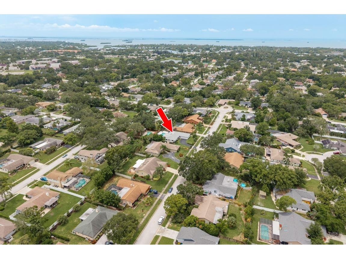 828 Lakeside Terrace Palm Harbor FL 34683 TB8412903 image4