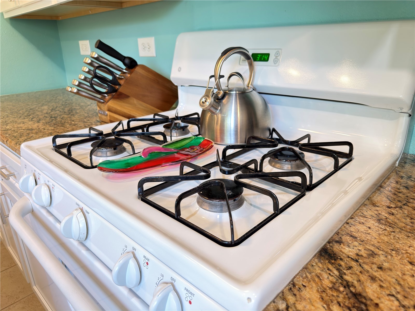 828 Padua Lane Clearwater FL 33756 TB8492774 image12