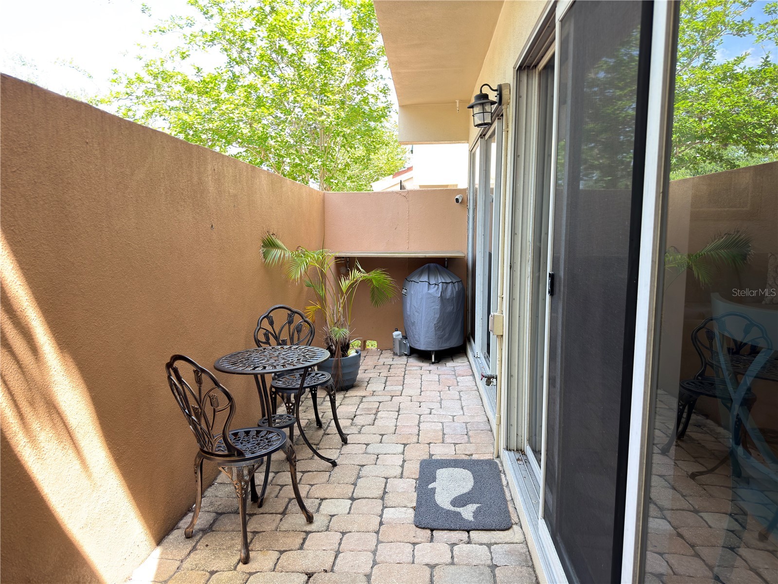 828 Padua Lane Clearwater FL 33756 TB8492774 image22